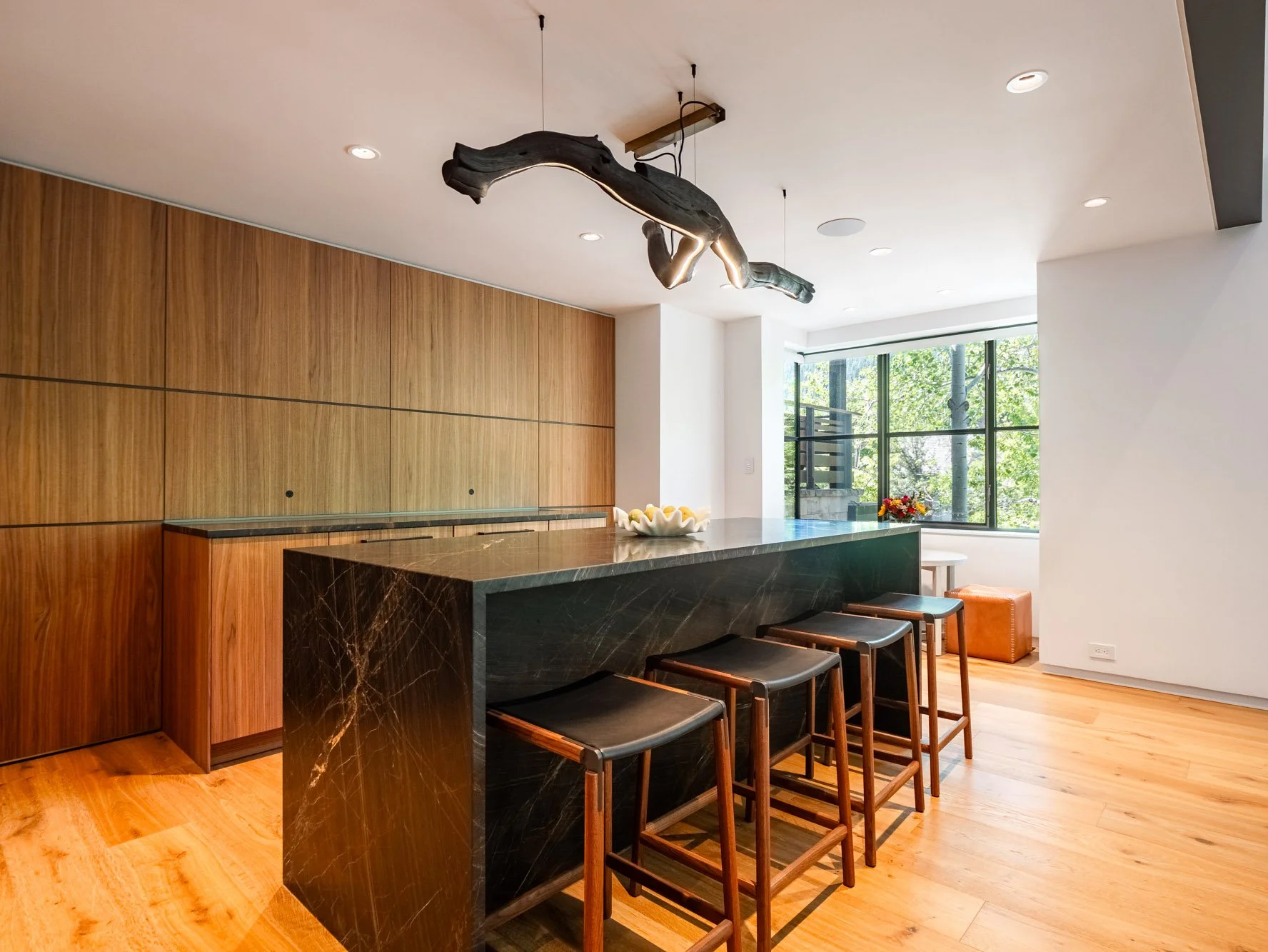 MLS - 624 E Hopkins Ave - Aspen, CO-36.jpg