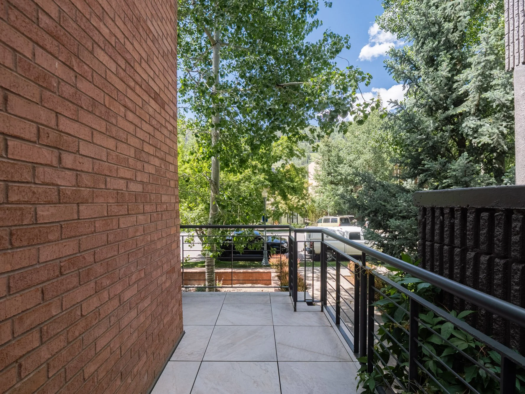 MLS - 624 E Hopkins Ave - Aspen, CO-42.jpg