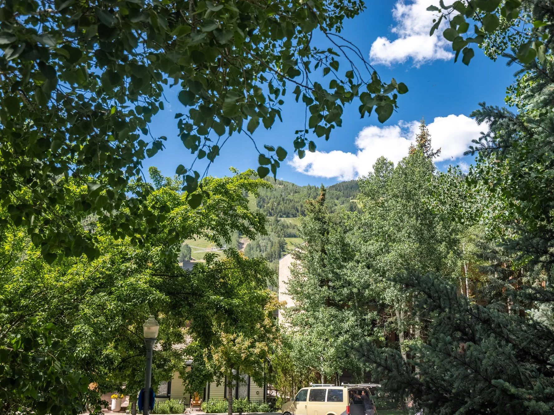 MLS - 624 E Hopkins Ave - Aspen, CO-43.jpg