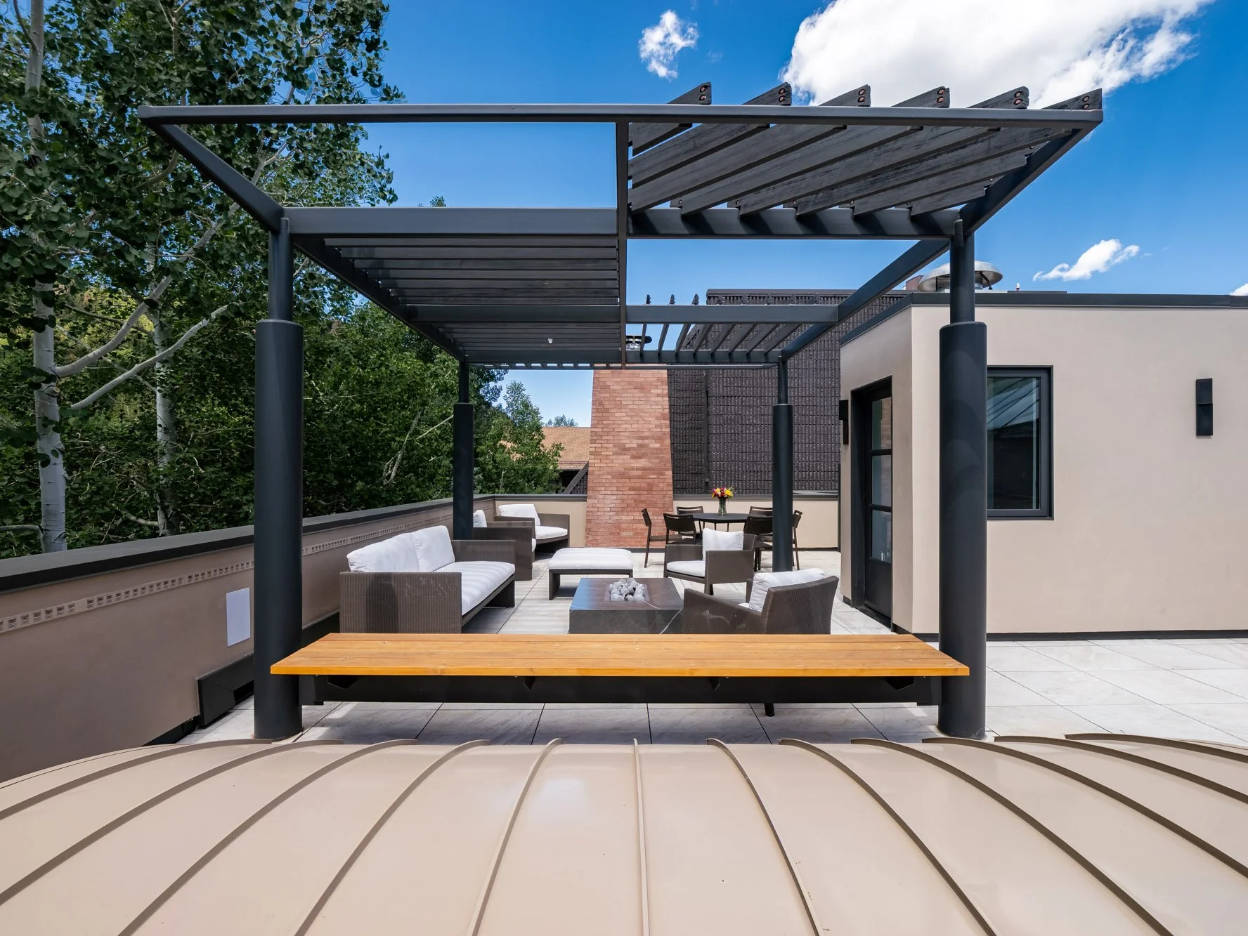 MLS - 624 E Hopkins Ave - Aspen, CO-45.jpg