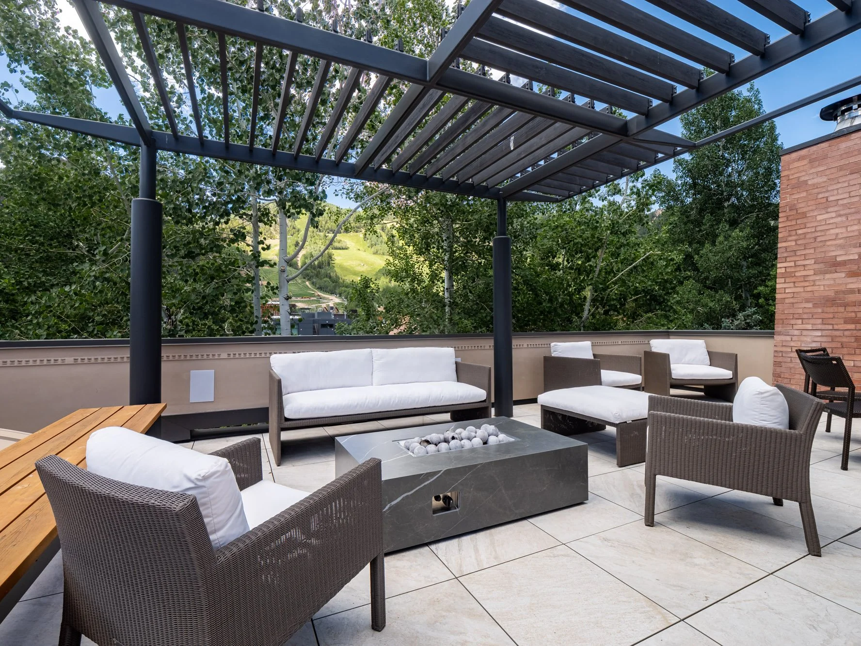 MLS - 624 E Hopkins Ave - Aspen, CO-48.jpg