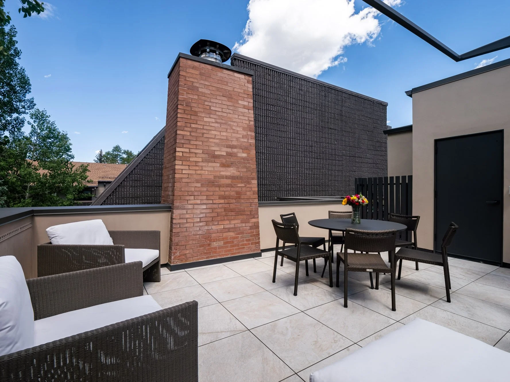 MLS - 624 E Hopkins Ave - Aspen, CO-49.jpg