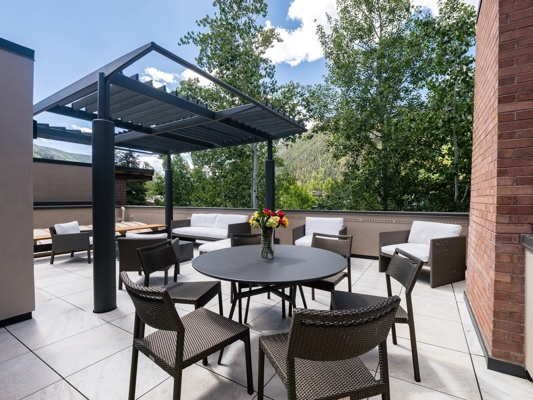 MLS - 624 E Hopkins Ave - Aspen, CO-50.jpg