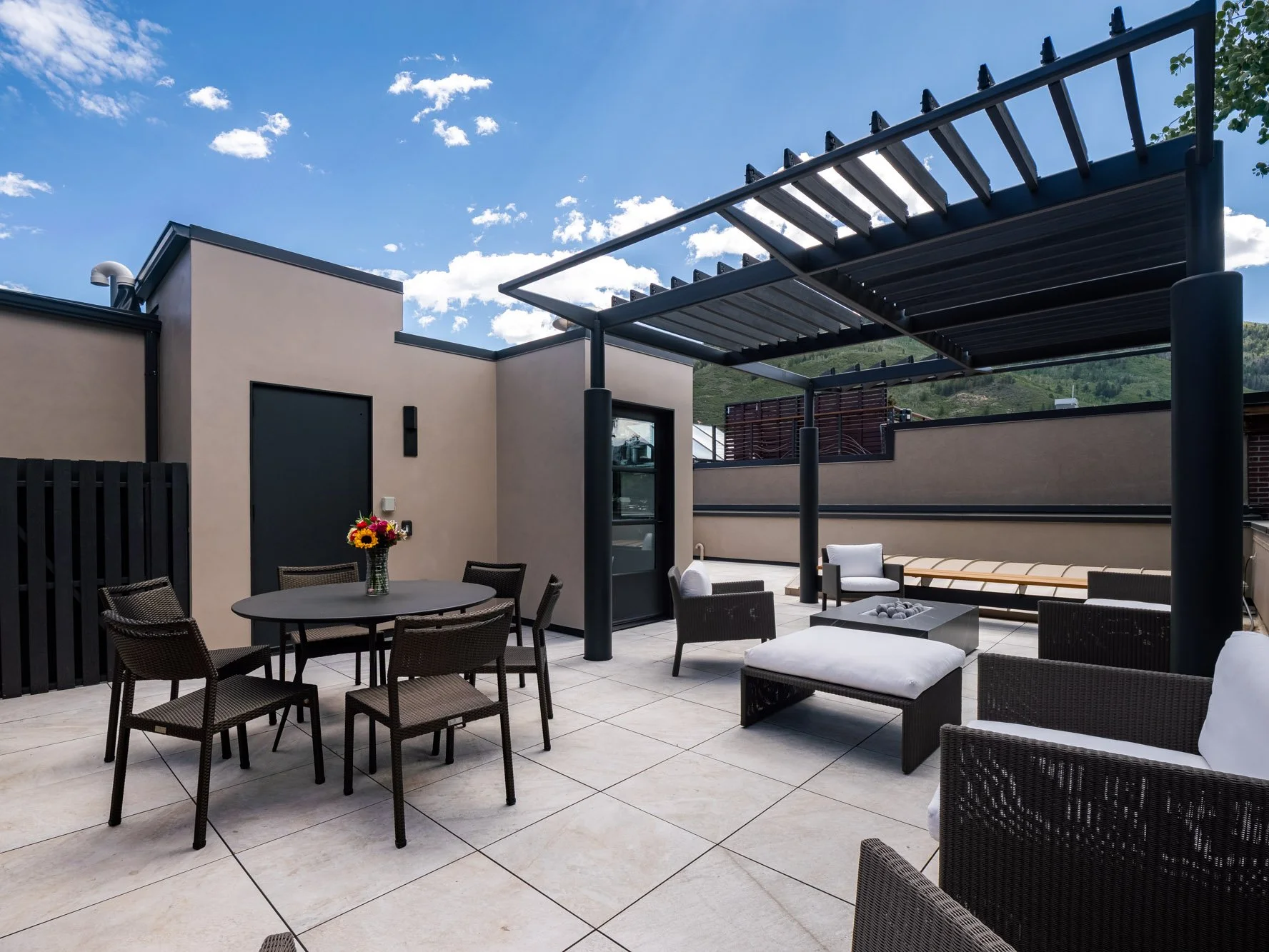 MLS - 624 E Hopkins Ave - Aspen, CO-52.jpg