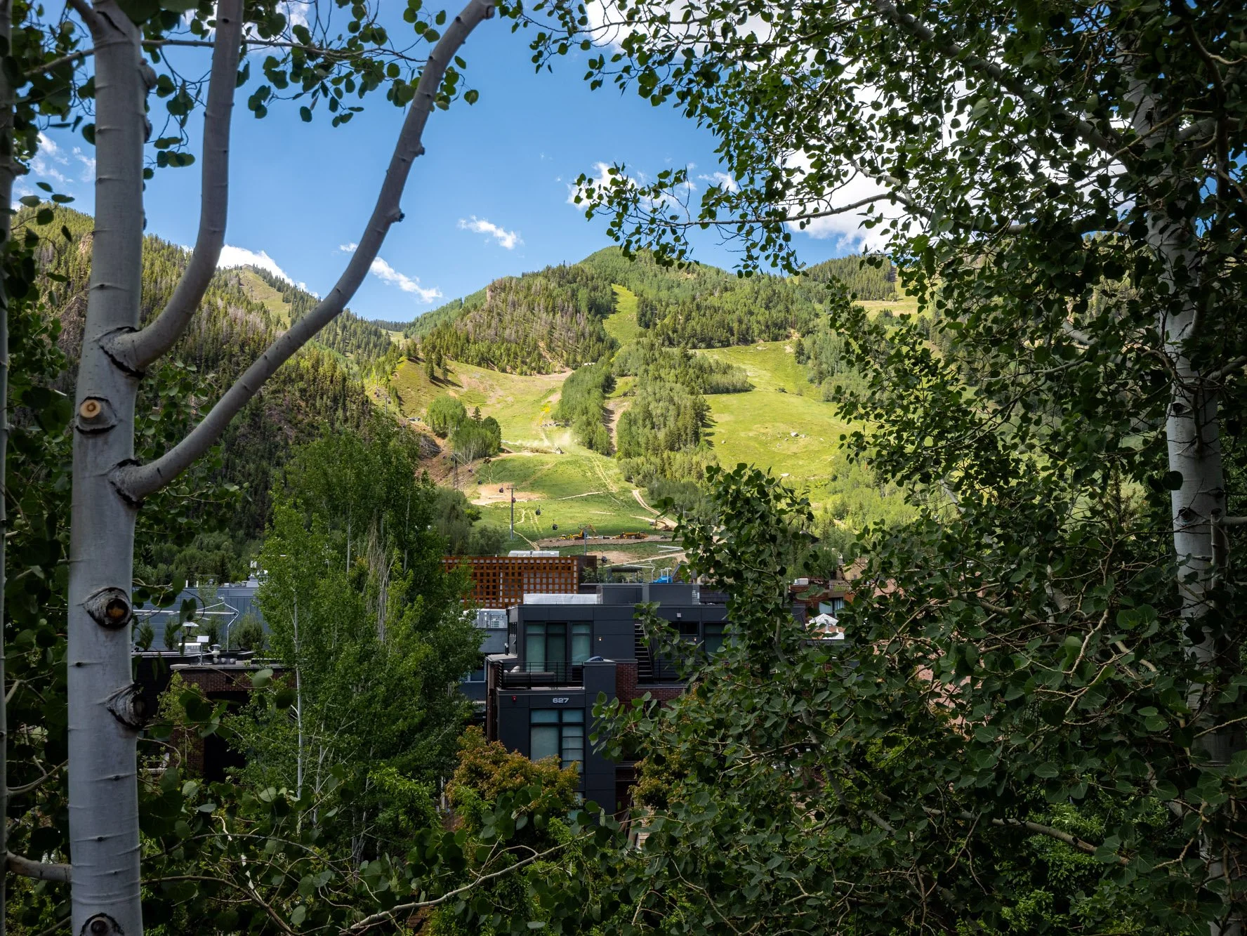 MLS - 624 E Hopkins Ave - Aspen, CO-54.jpg