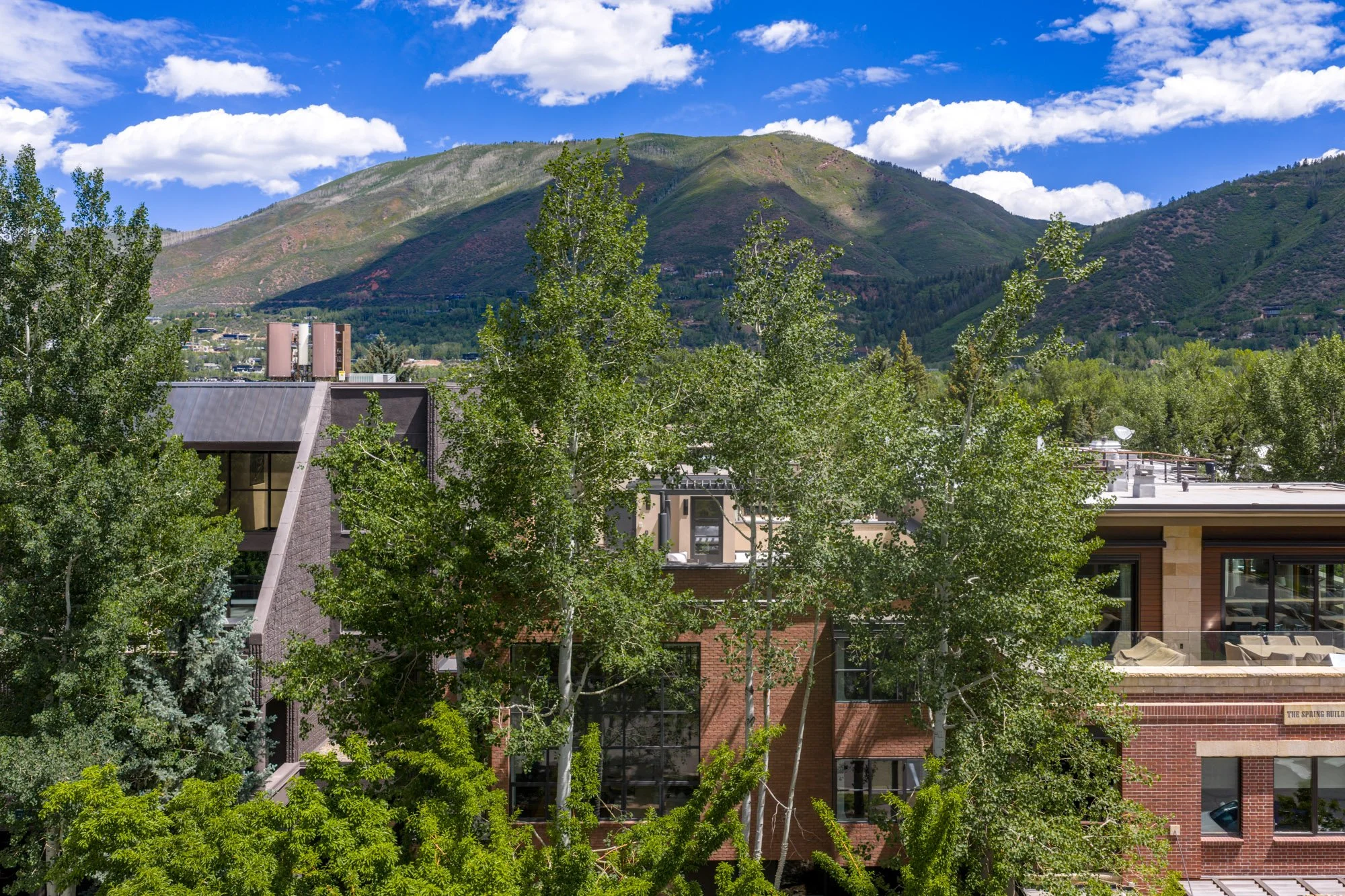 MLS - 624 E Hopkins Ave - Aspen, CO-55.jpg