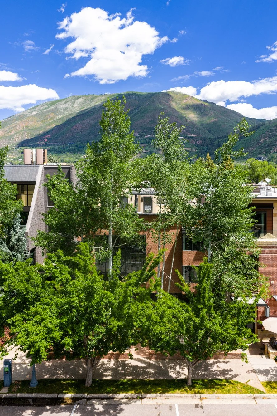 MLS - 624 E Hopkins Ave - Aspen, CO-56.jpg