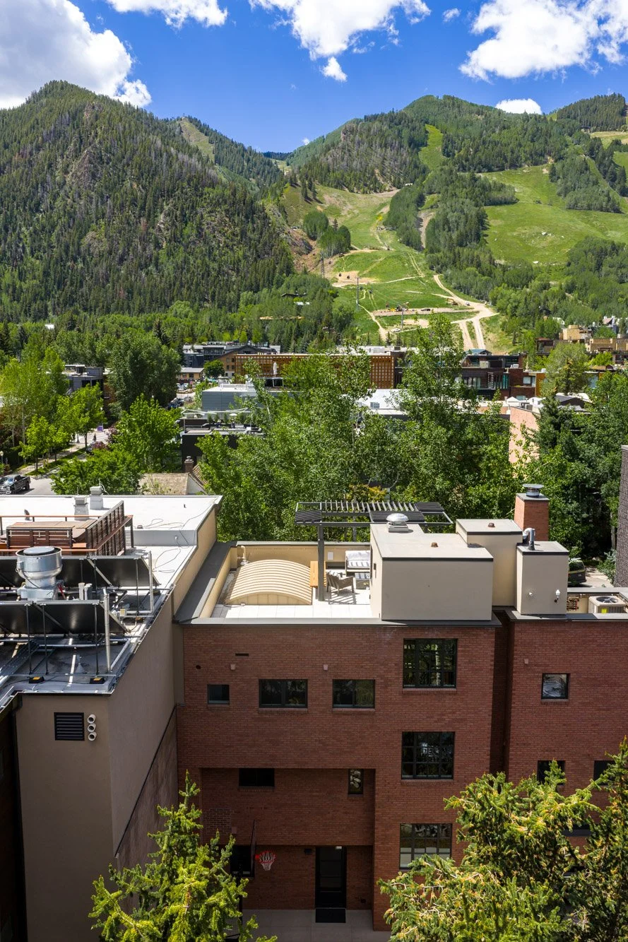 MLS - 624 E Hopkins Ave - Aspen, CO-58.jpg