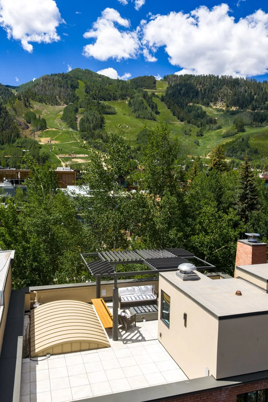 MLS - 624 E Hopkins Ave - Aspen, CO-59.jpg