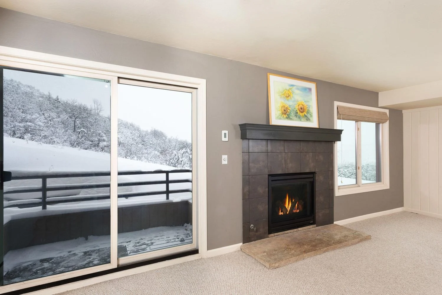35 Lower Woodbridge 155 2.jpg