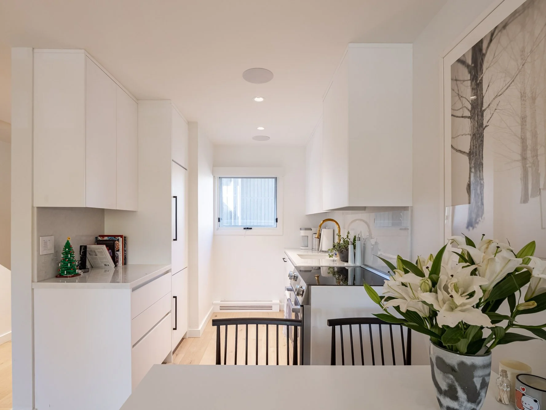 MLS - 700 W Hopkins Ave - Aspen, CO-6.jpg