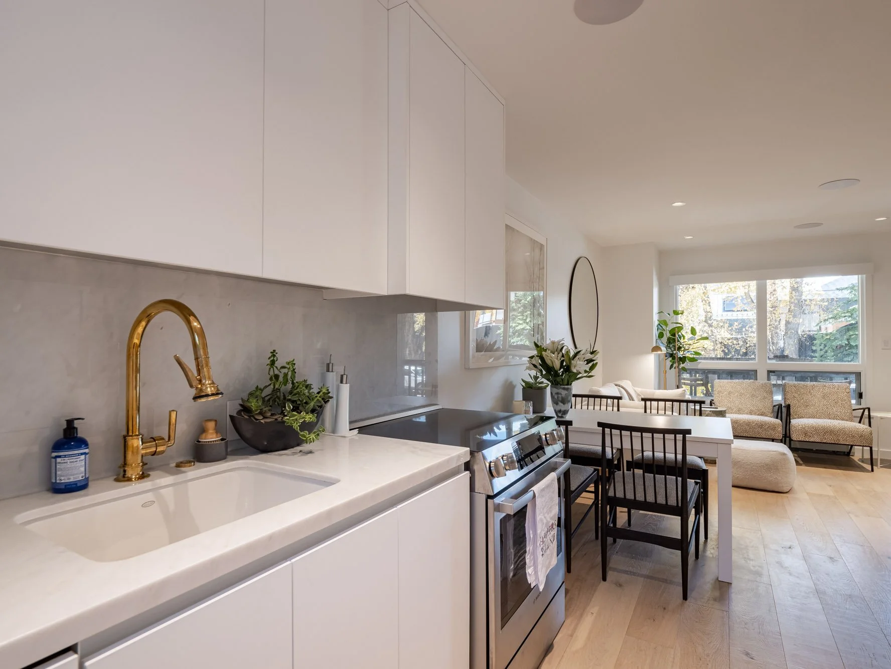 MLS - 700 W Hopkins Ave - Aspen, CO-7.jpg