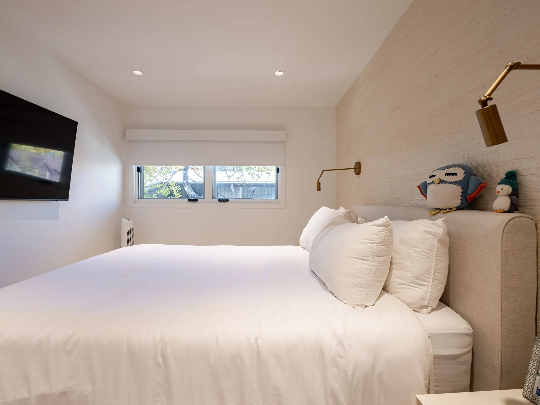 MLS - 700 W Hopkins Ave - Aspen, CO-17.jpg