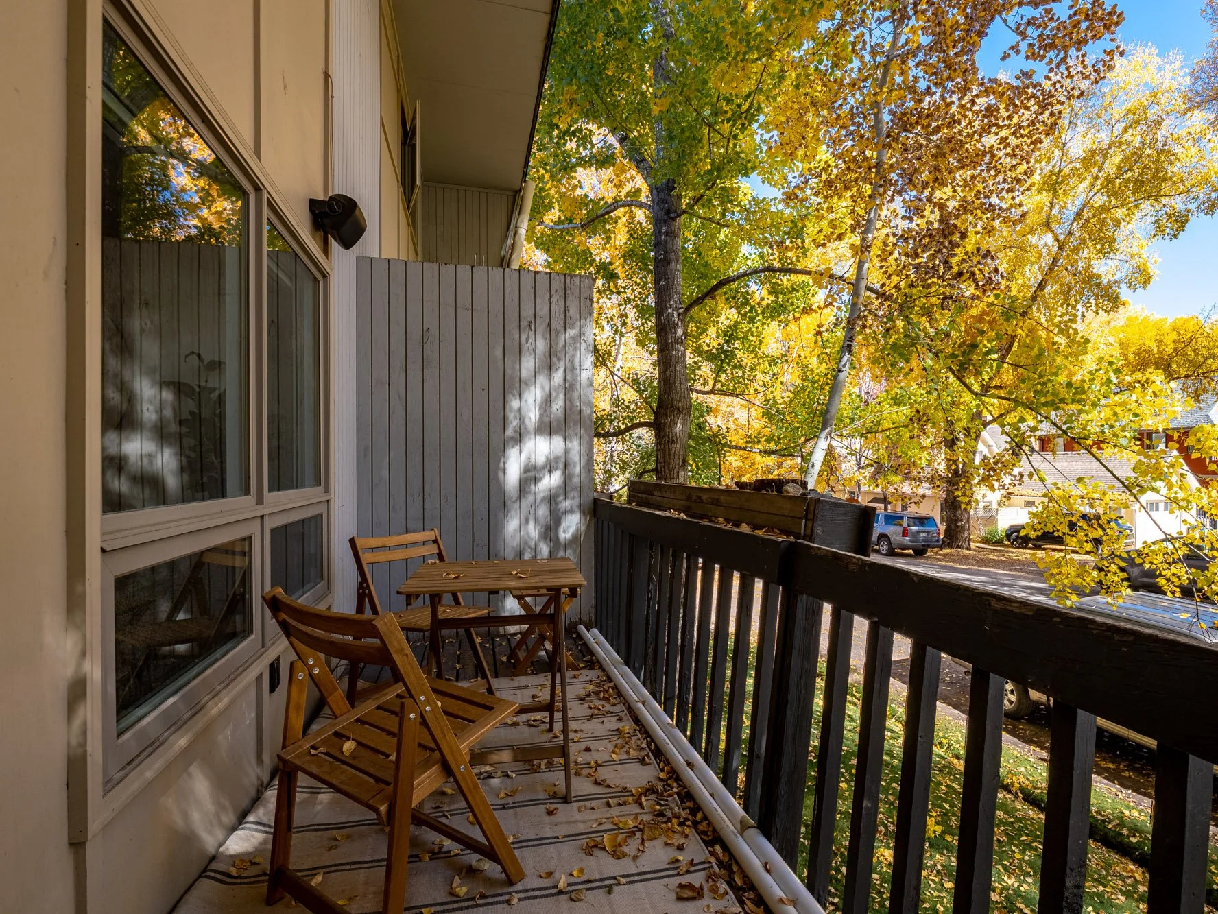 MLS - 700 W Hopkins Ave - Aspen, CO-18.jpg