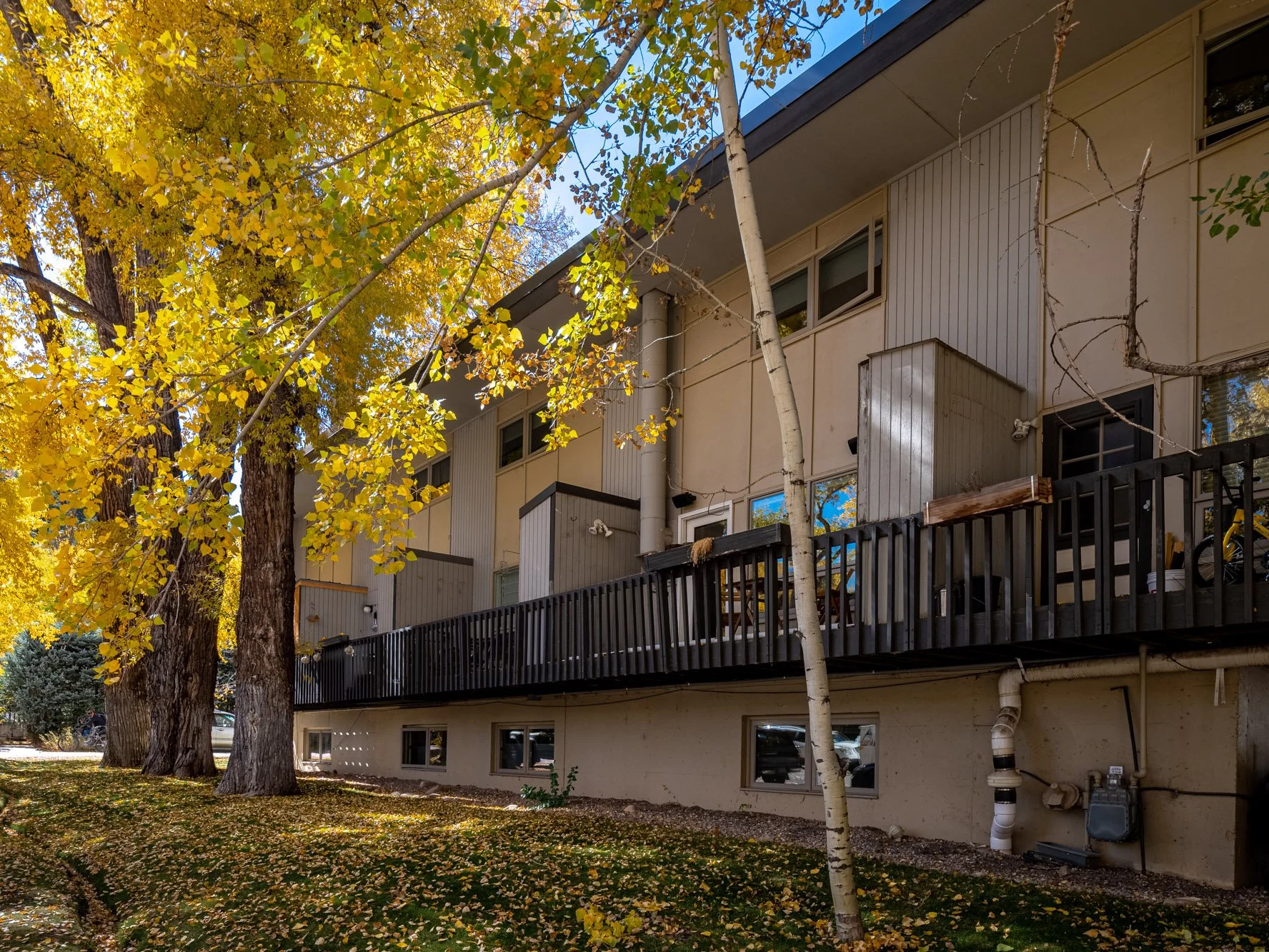 MLS - 700 W Hopkins Ave - Aspen, CO-19.jpg