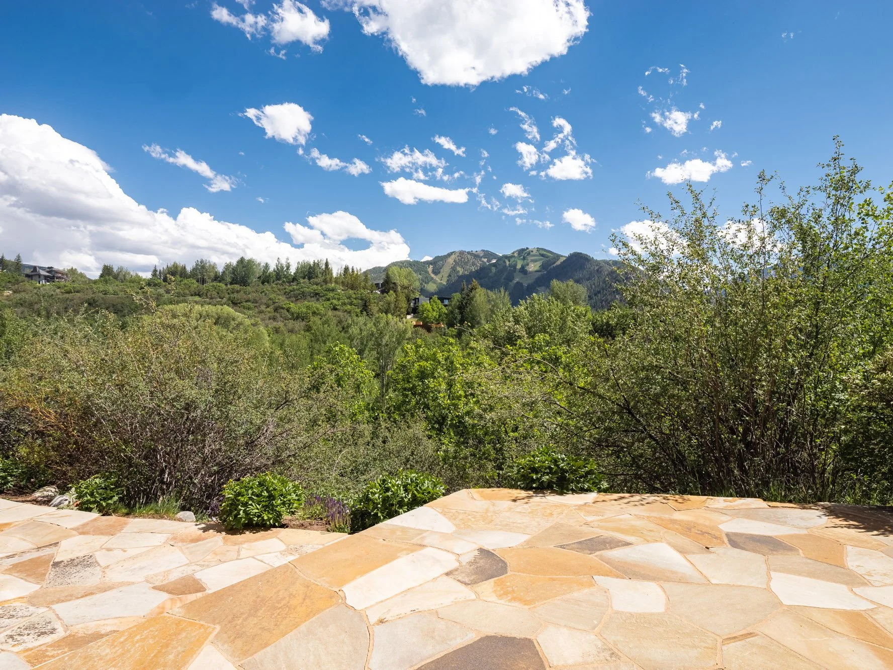 MLS - 324 Draw Drive - Aspen, CO-21.jpg