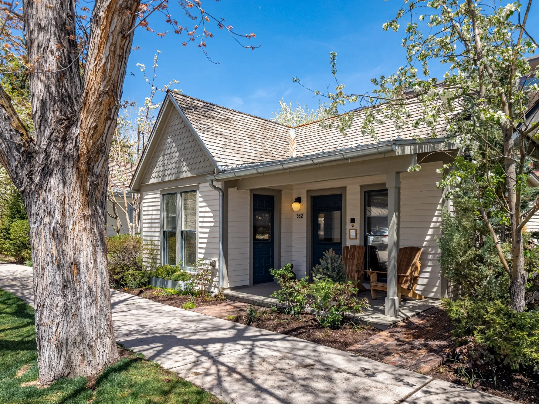 MLS - 532 E Hopkins Ave - Aspen, CO-2.jpg