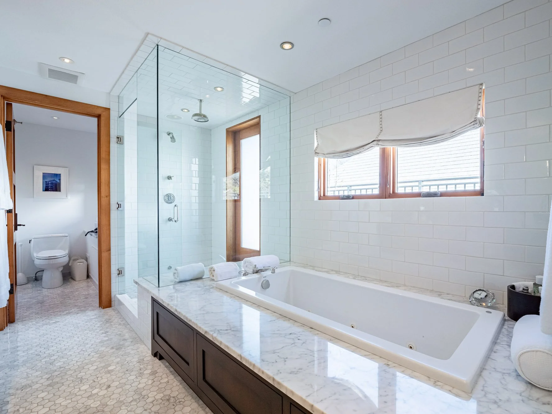 MLS - 532 E Hopkins Ave - Aspen, CO-21.jpg
