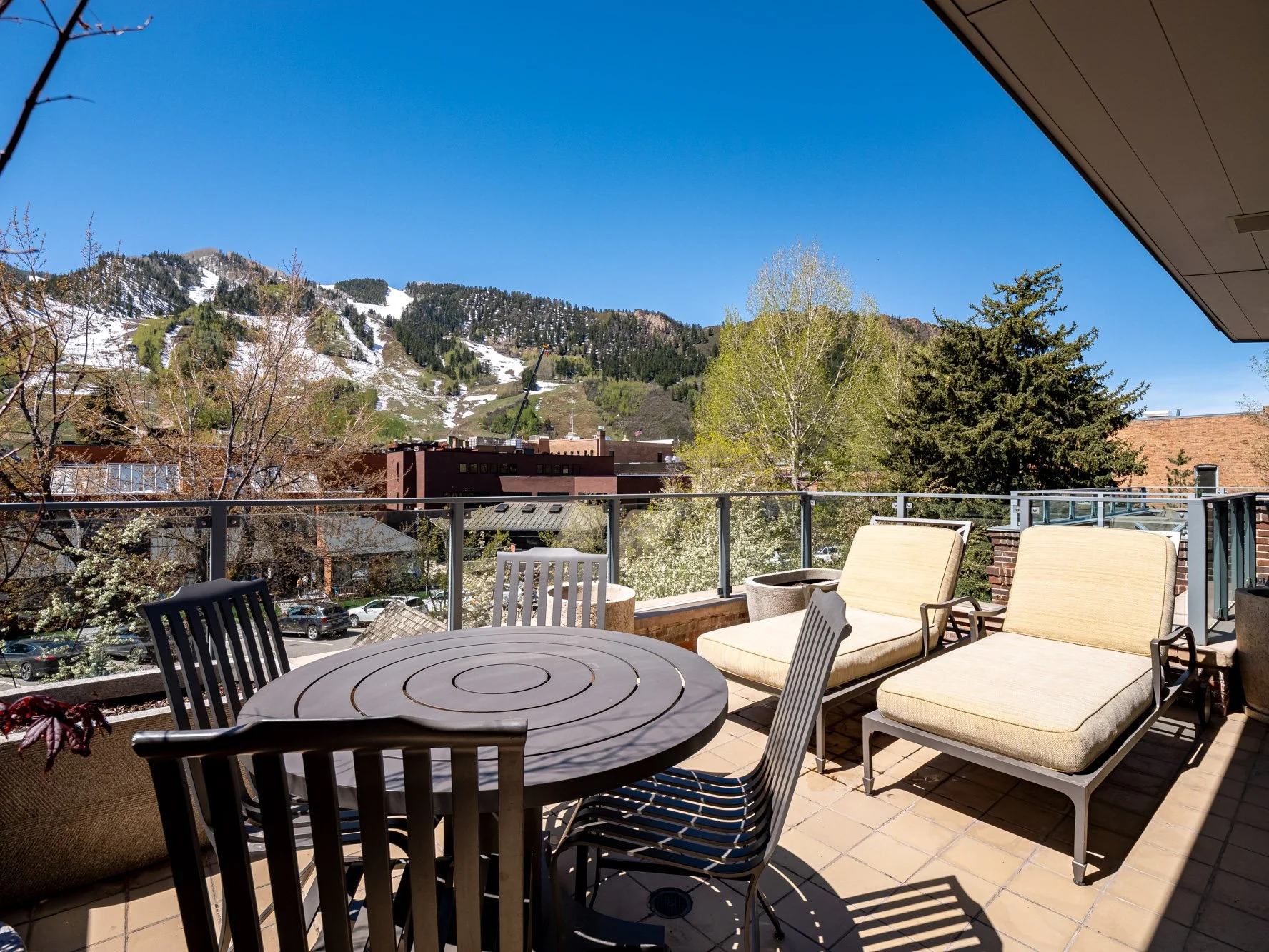 MLS - 532 E Hopkins Ave - Aspen, CO-24.jpg