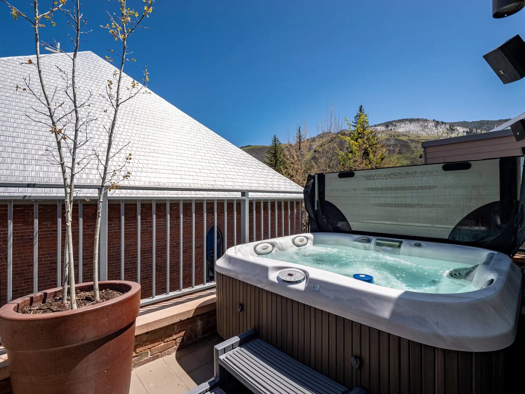 MLS - 532 E Hopkins Ave - Aspen, CO-54.jpg