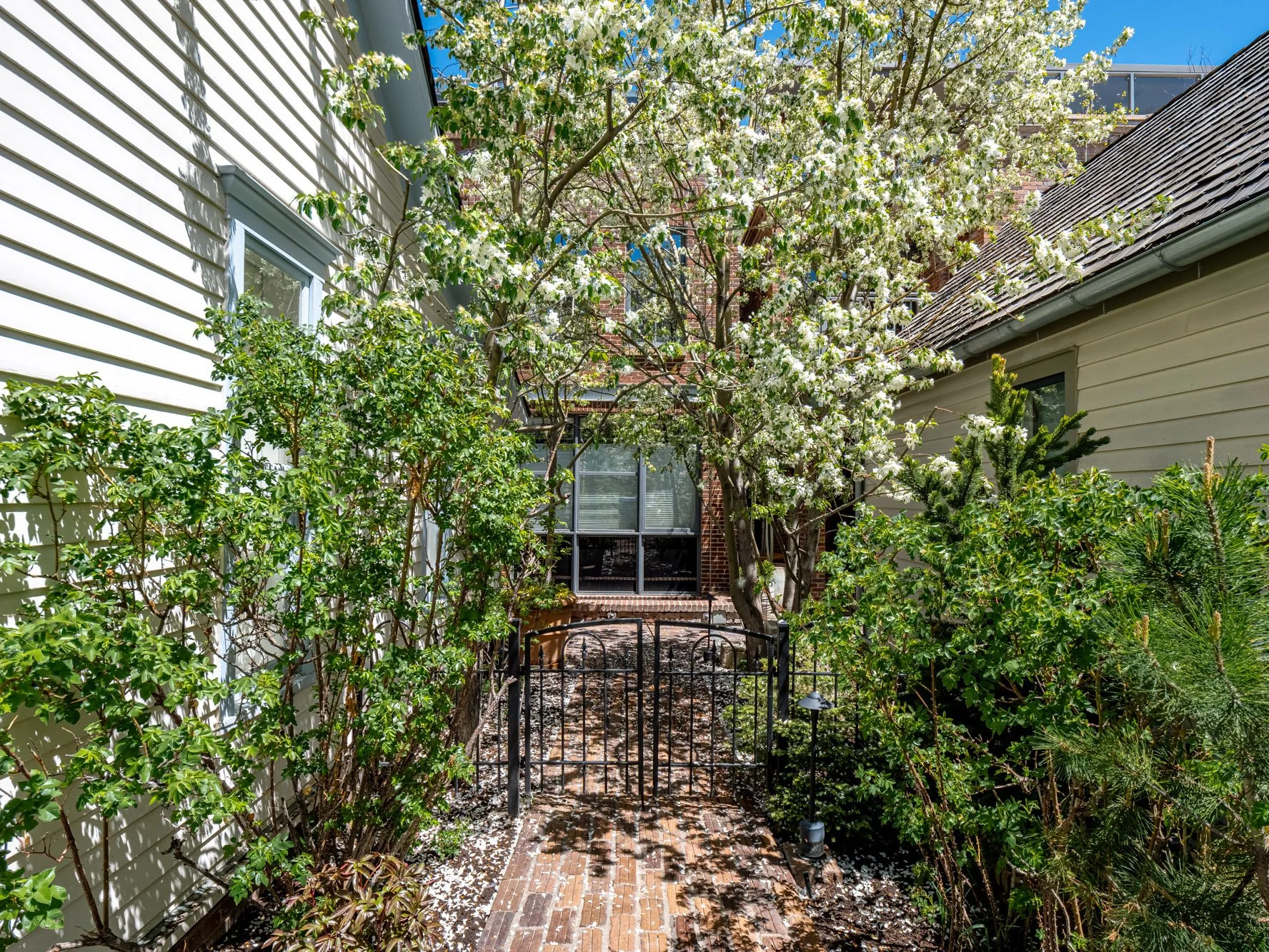MLS - 532 E Hopkins Ave - Aspen, CO-55.jpg