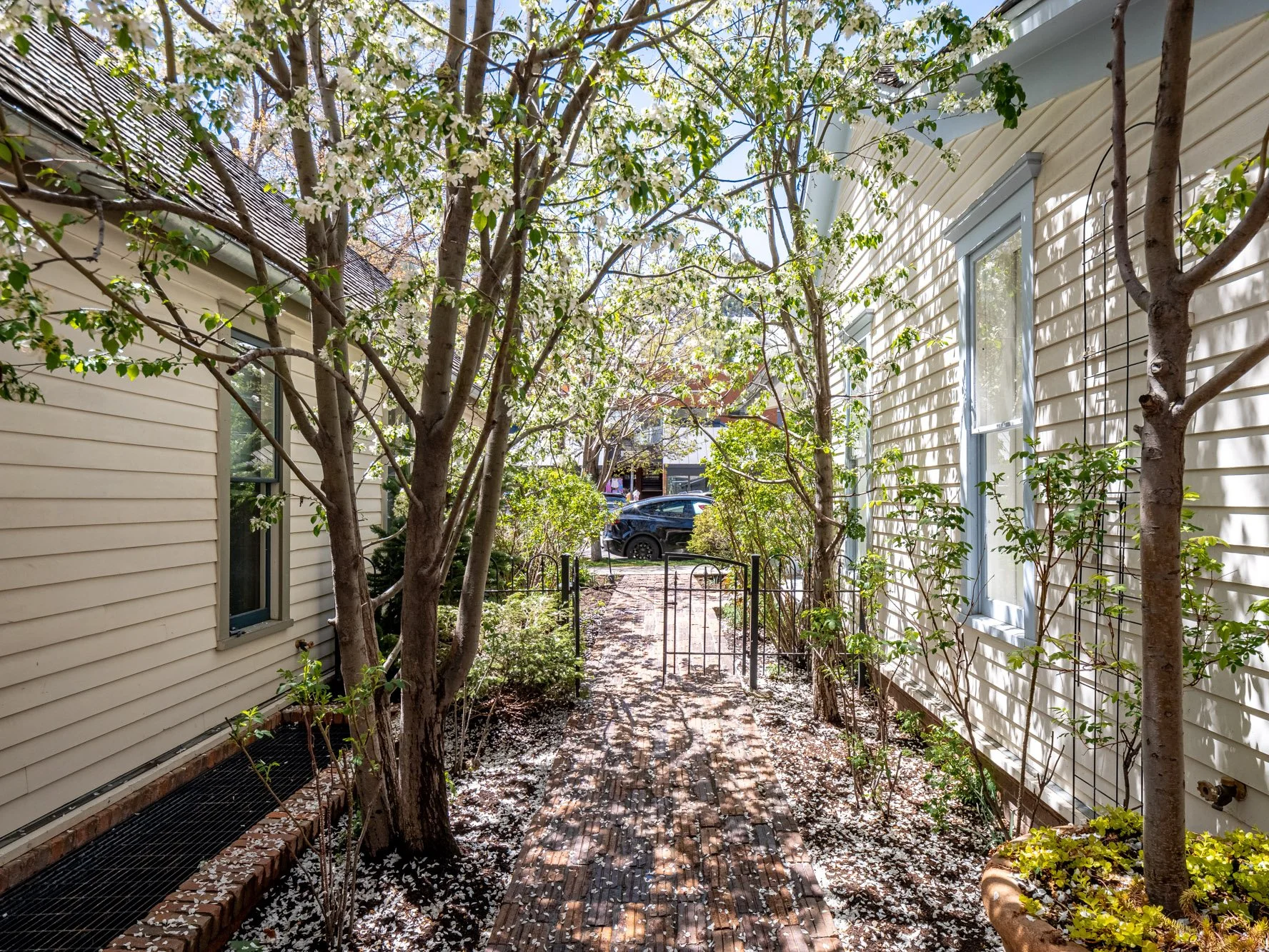 MLS - 532 E Hopkins Ave - Aspen, CO-56.jpg