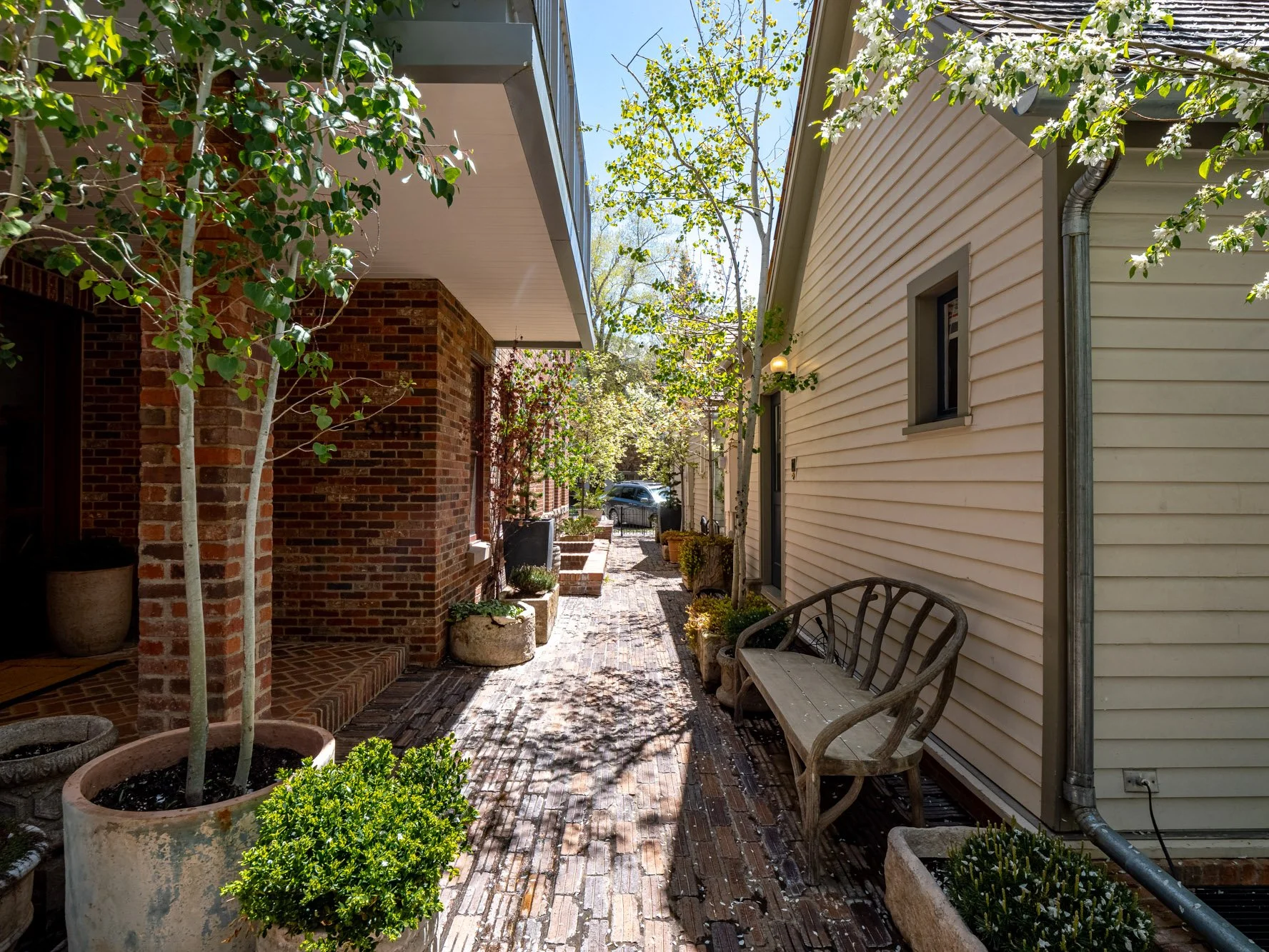 MLS - 532 E Hopkins Ave - Aspen, CO-57.jpg