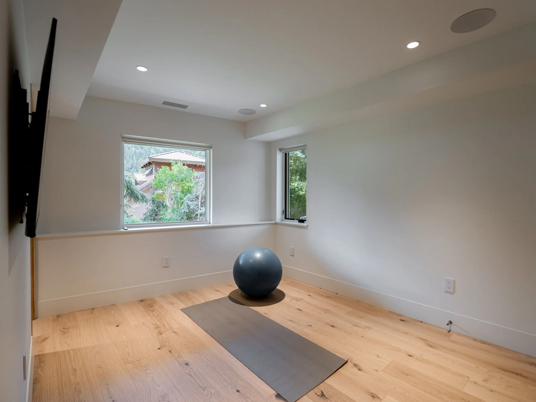 MLS - 51 Roaring Fork Road - Aspen, CO-32.jpg