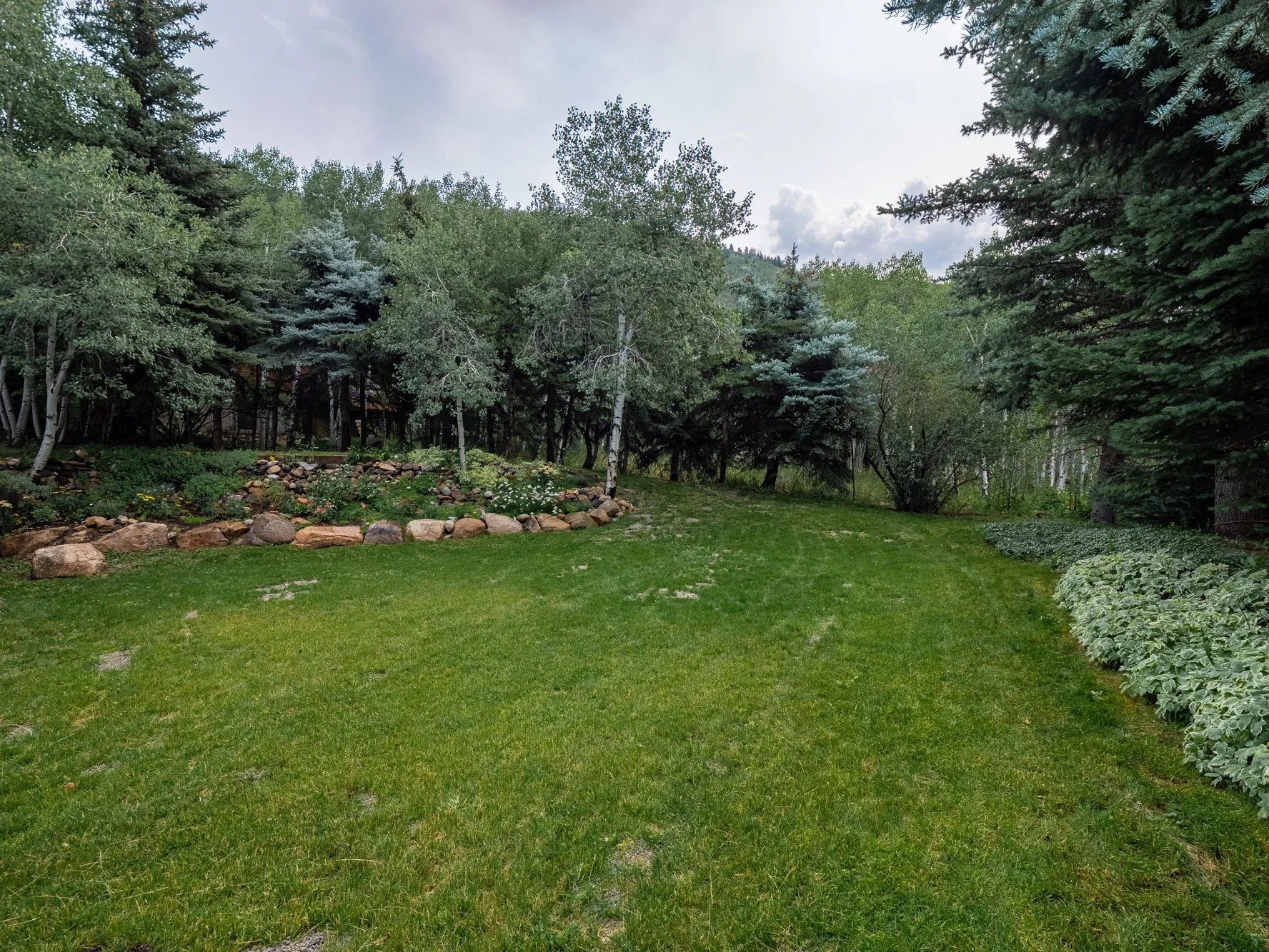 MLS - 51 Roaring Fork Road - Aspen, CO-42.jpg