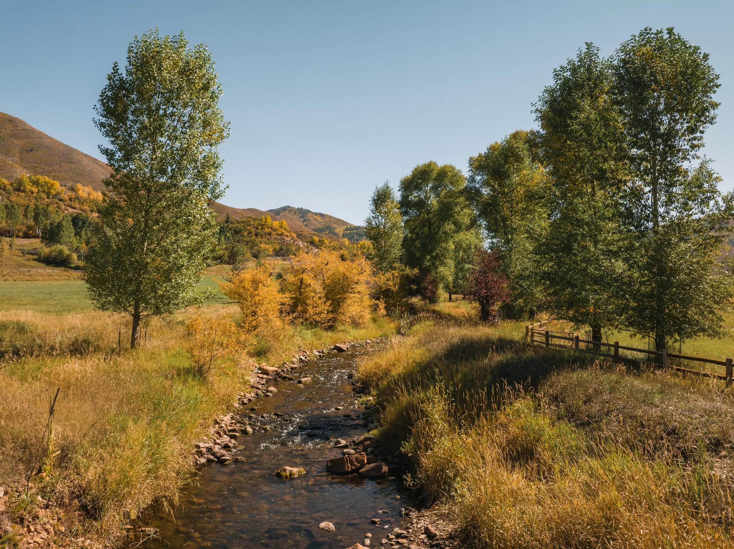DJI_0864.jpg