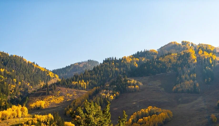 Fall in Aspen is here, and it&rsquo;s one of our favorite times of year!

In the AG Aspen blog this week, we cover how to make the most of off-season: golden aspens on the American Lake and Cathedral Lake trails, hiking over West Maroon Pass to Crest