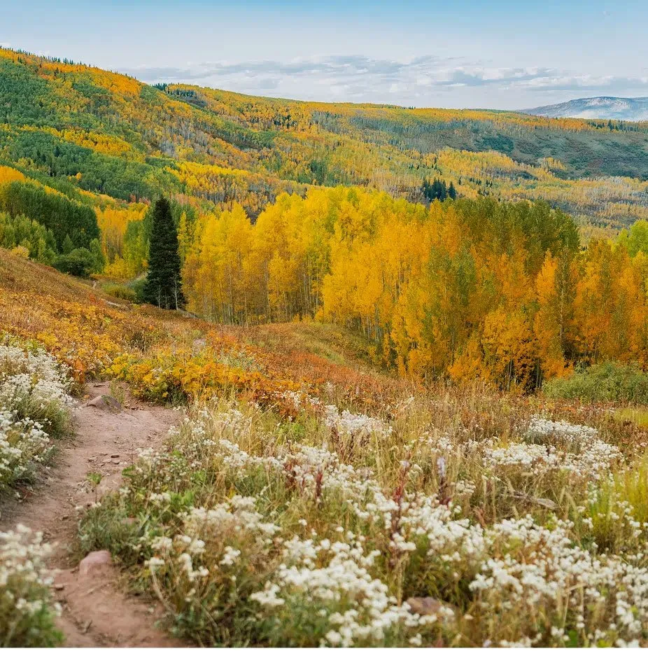How to Enjoy Aspen's Off-Season This Fall