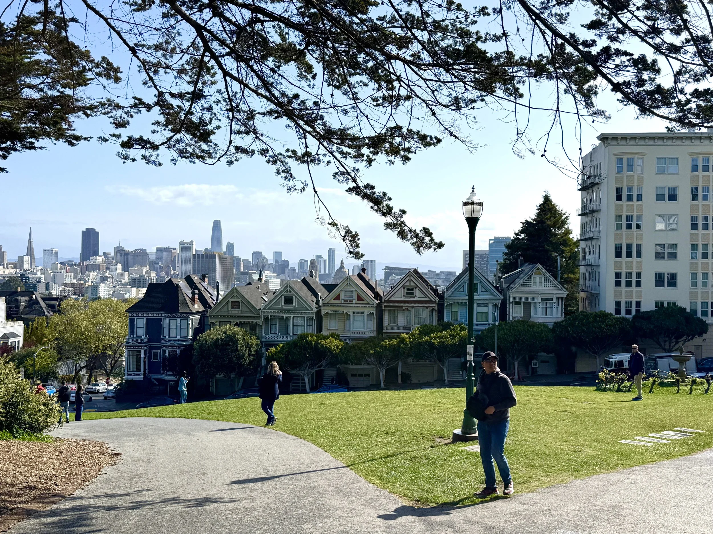Alamo Square the Painted Ladies with the city skyline in the background,