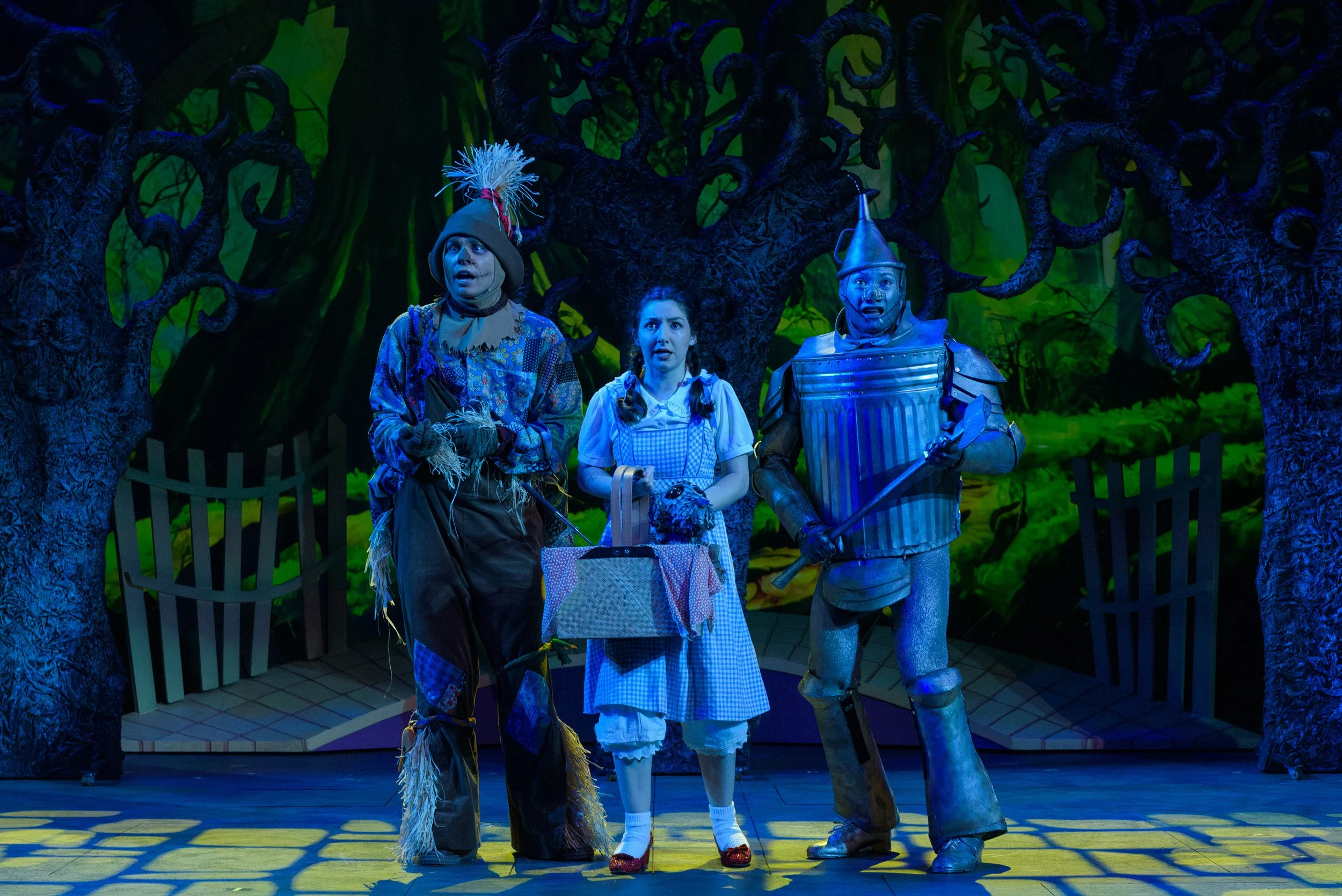 wizardofoz_productionphoto_5-25-2024-46.jpg