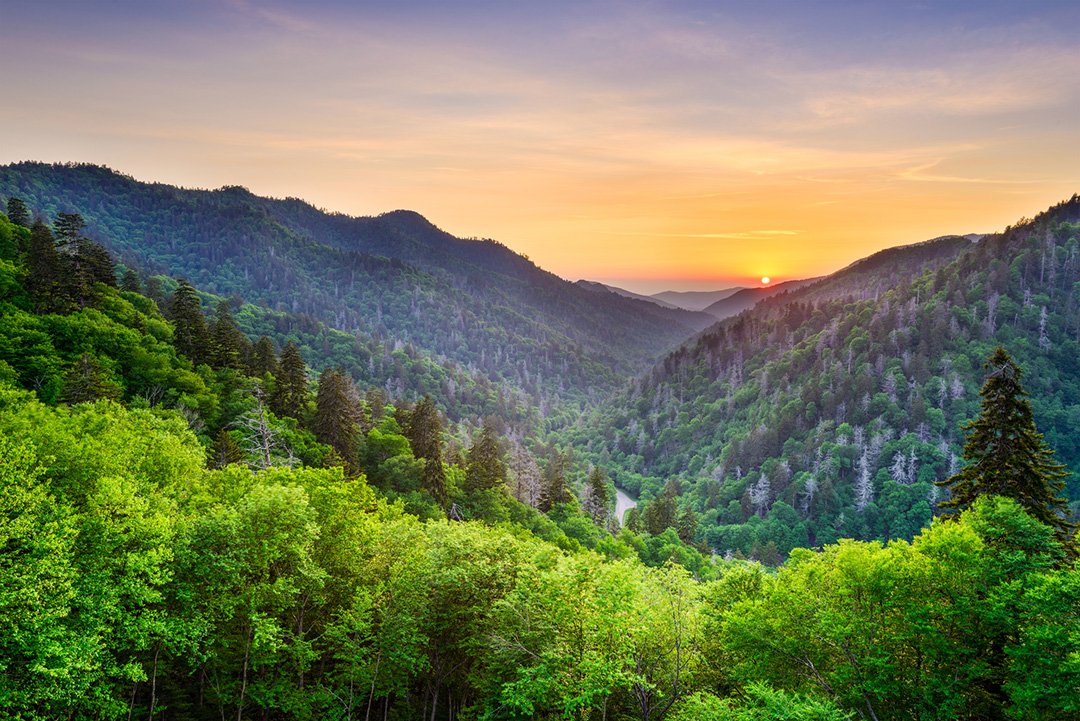 Sunset over a lush green mountainous valley with dense trees and a river running through it.
