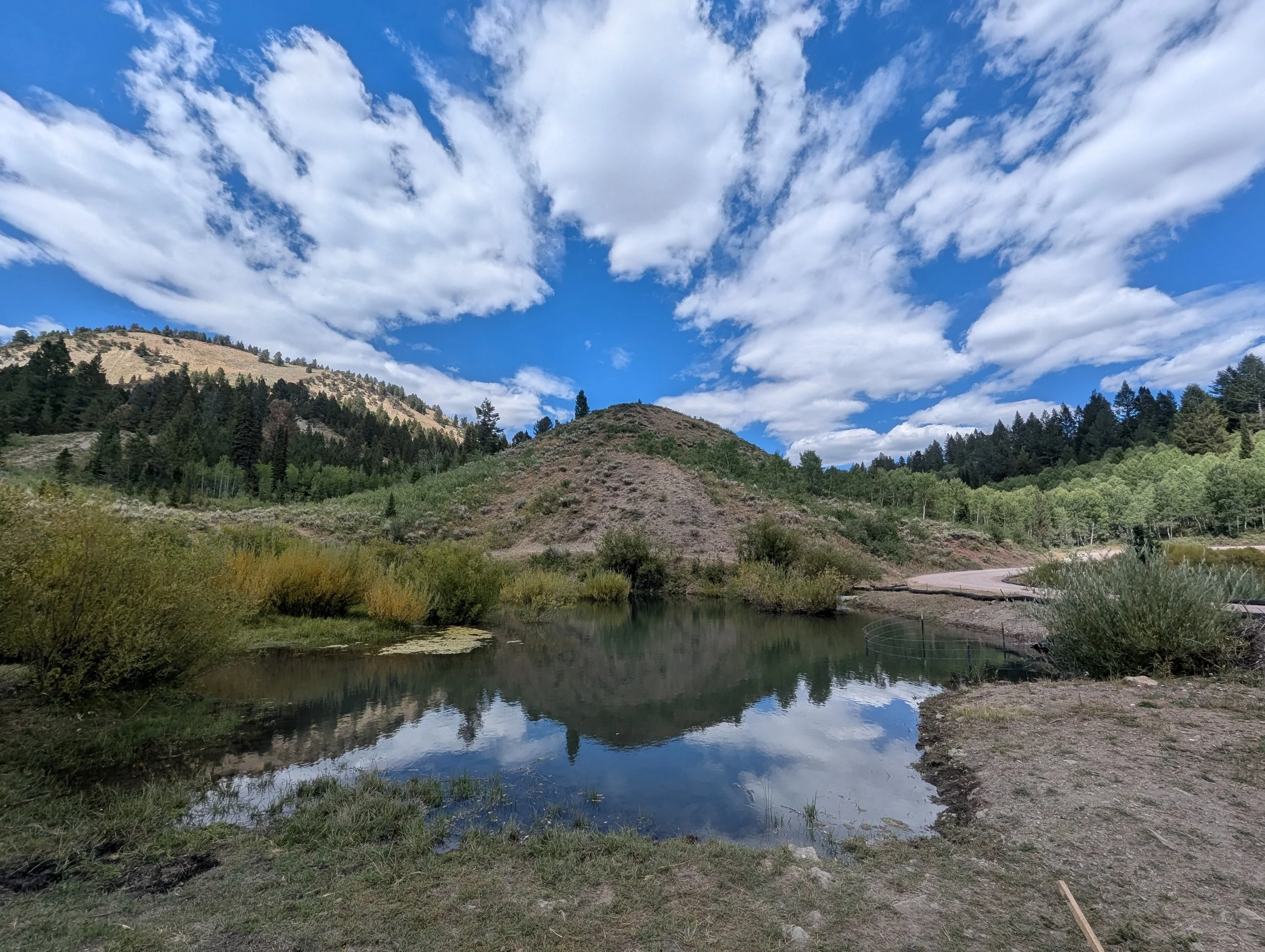 A serene landscape featuring a calm river reflecting a partly cloudy blue sky, with forested hills and mountains in the background.