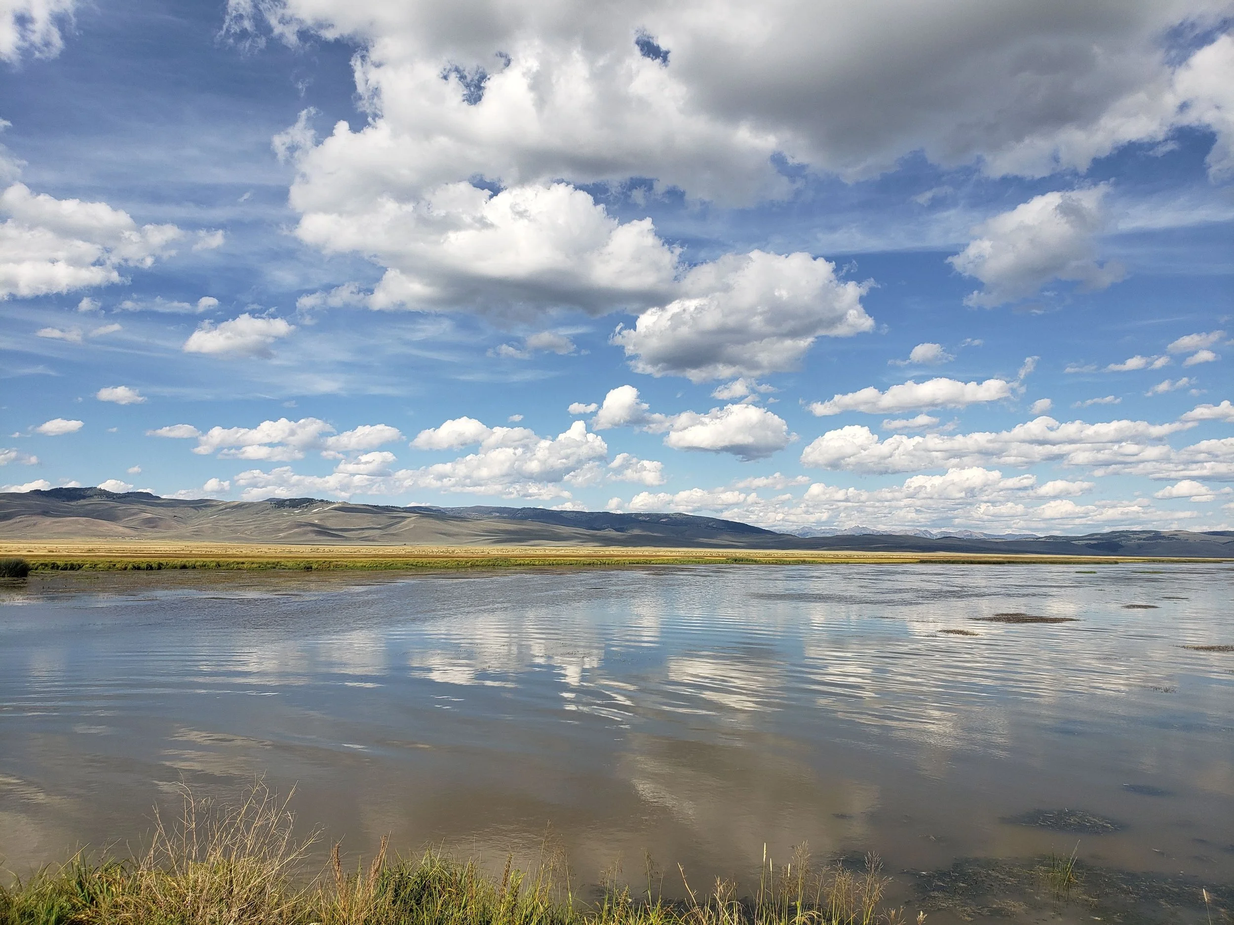 A wide landscape view of a calm body of water with grassy banks in the foreground, rolling hills in the distance, and a partly cloudy blue sky overhead.