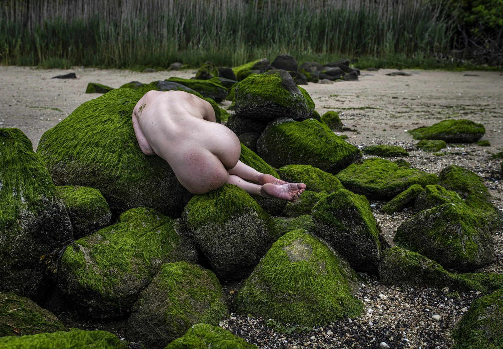 A nude woman lying face down on moss-covered rocks on a beach with tall reeds in the background.