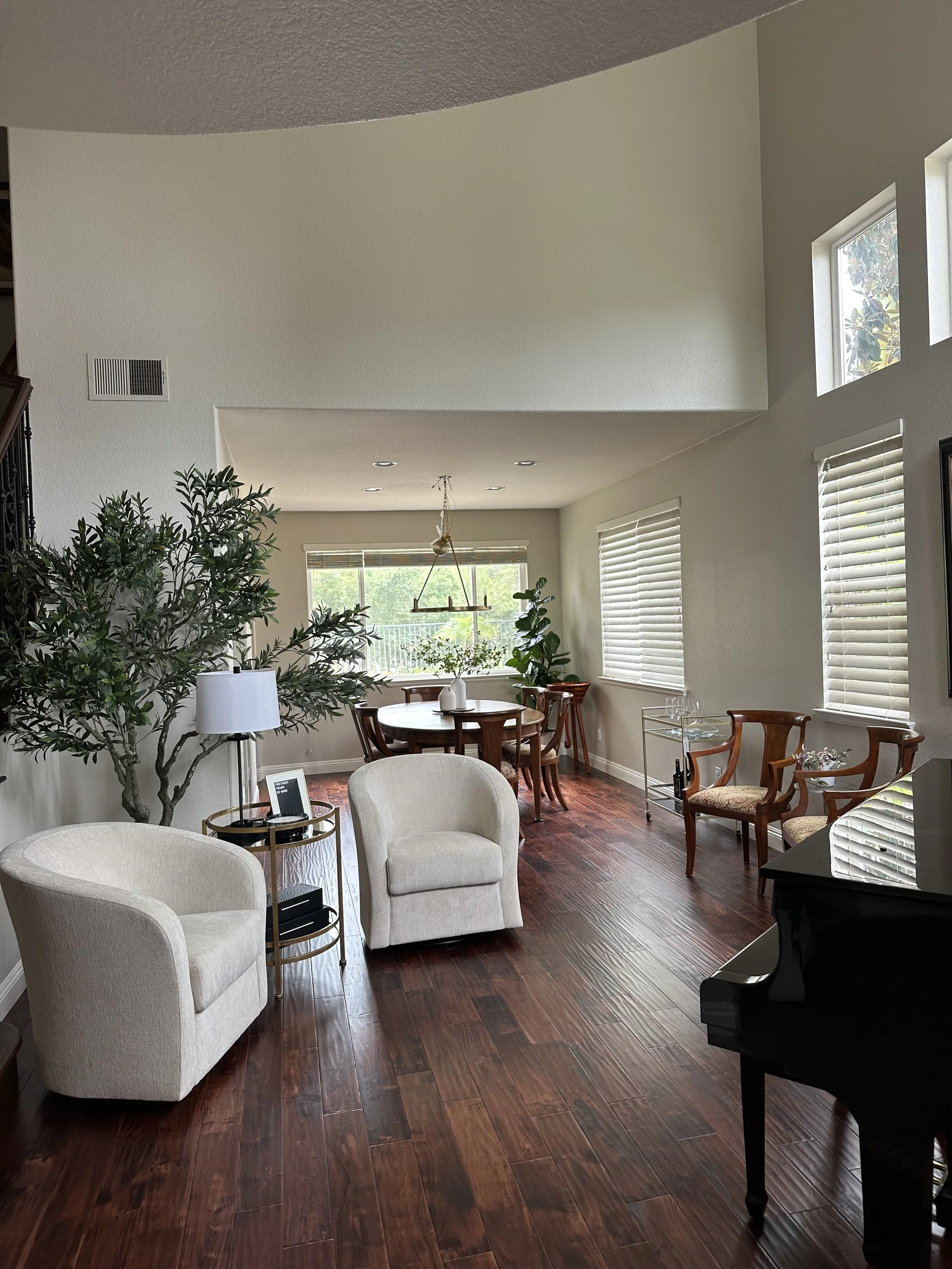 A living room with two white armchairs, a small round side table with a lamp, a large potted leafy plant, a dining table with chairs, multiple windows with blinds, hardwood floors, and a black piano.