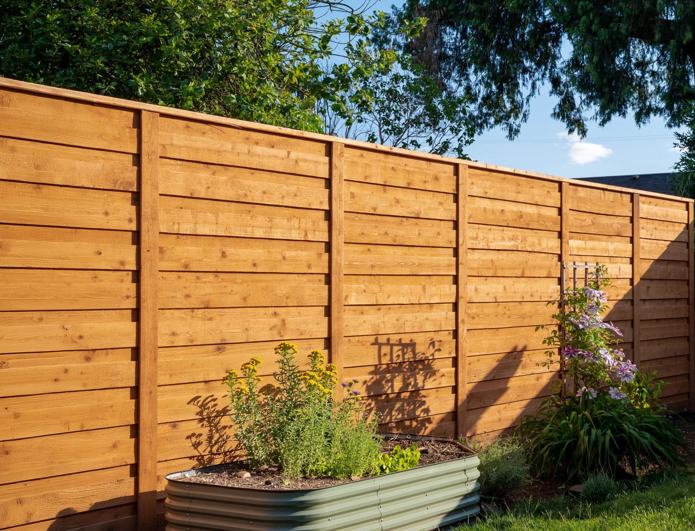 A newly built wooden privacy fence in a backyard with small flowering plants and bushes at the base, with a clear blue sky and treetops in the background in a Katy TX suburban backyard