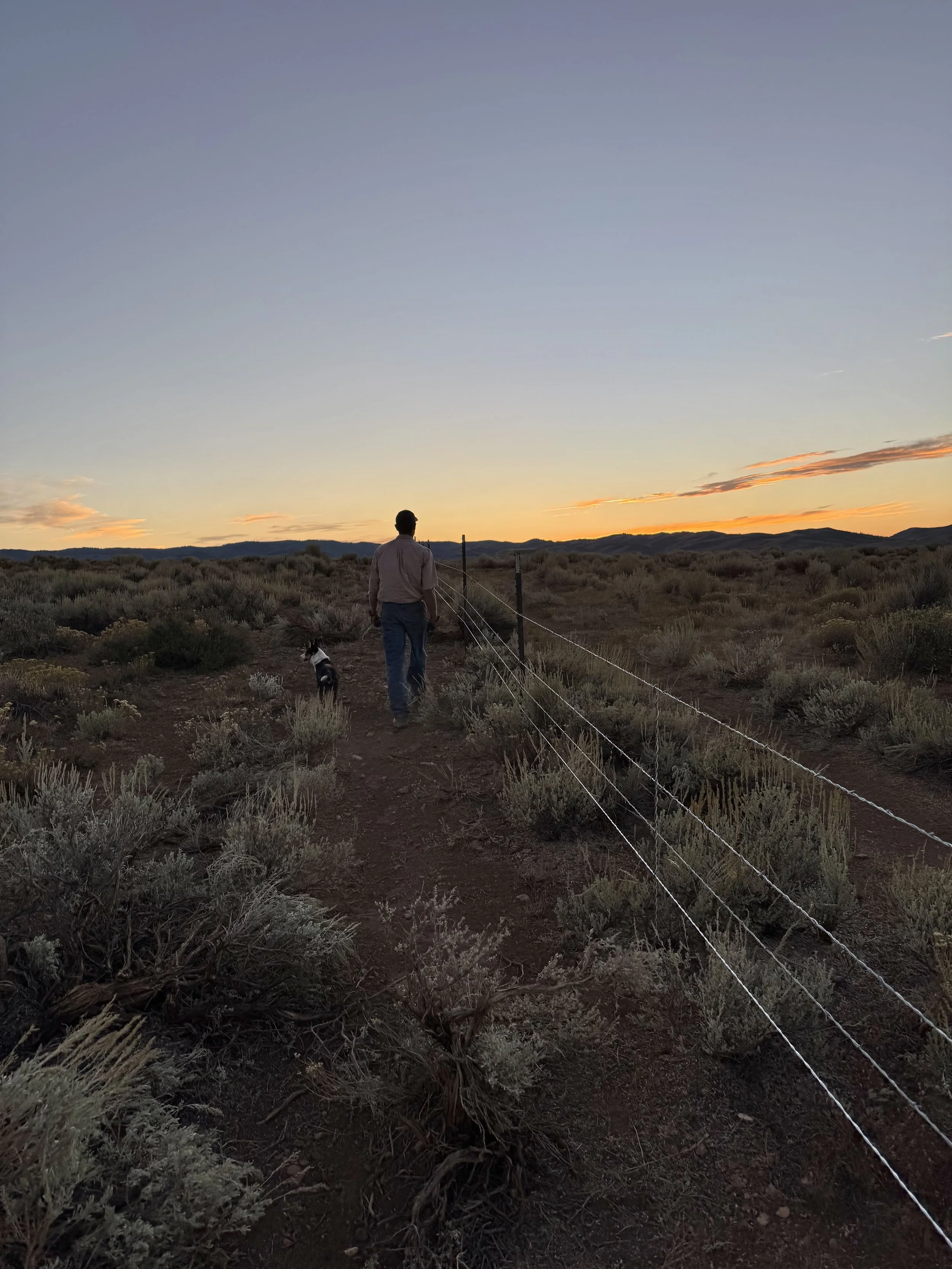 A person walking with a dog along a dirt path at sunset, with outdoor fencing stretched along the path amidst dry shrubbery and distant mountains.