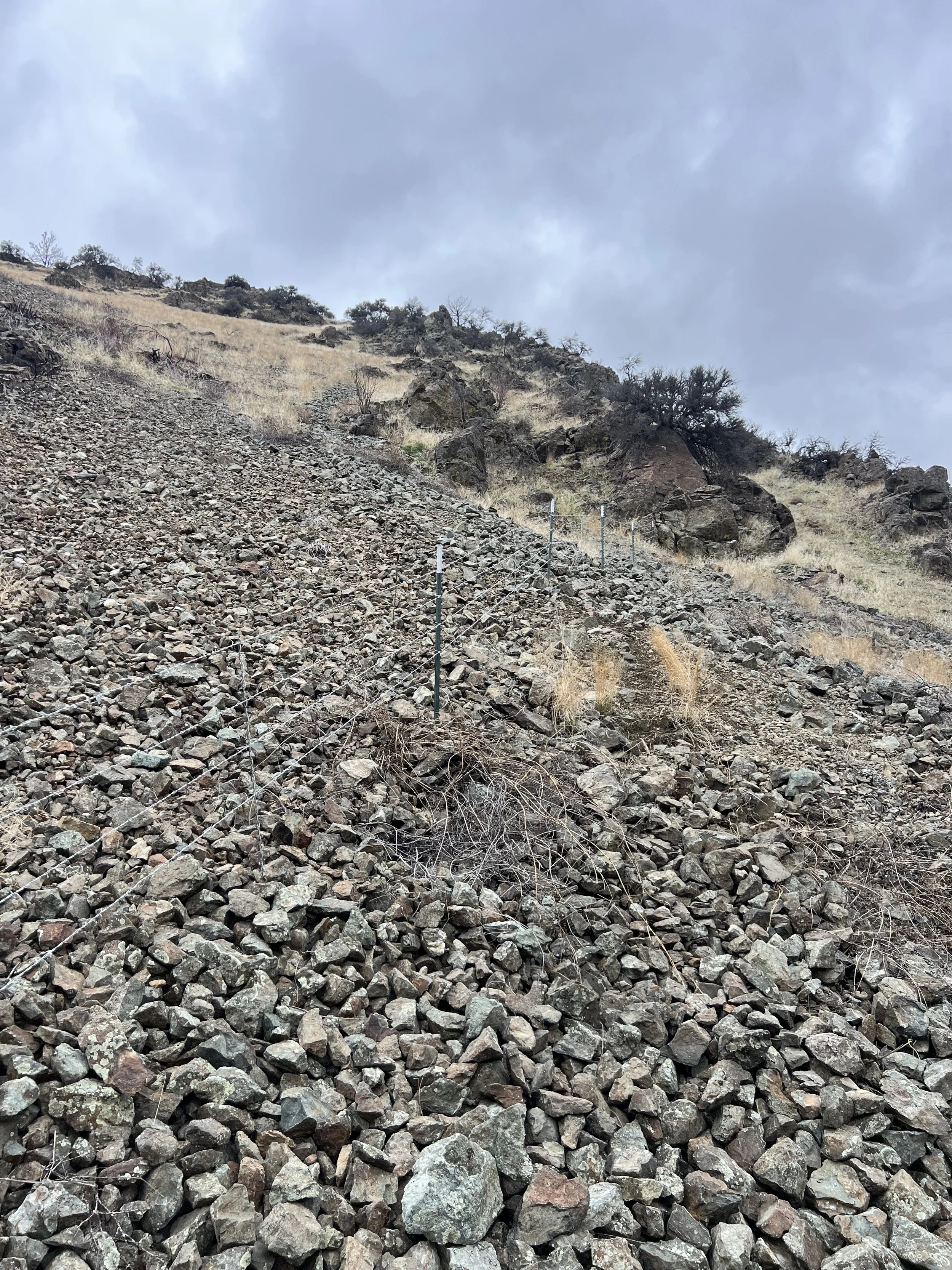 A rocky hillside with sparse dry grass and small trees, under a cloudy sky, with a metal wire fence running along the slope.