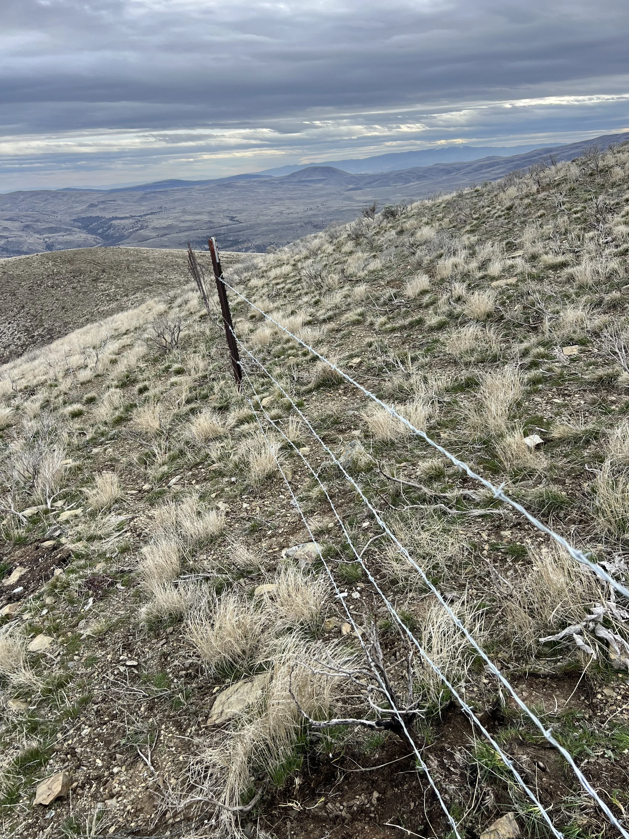 A barbed wire fence running diagonally across dry grassy hillside with mountain ranges in the background under a cloudy sky.