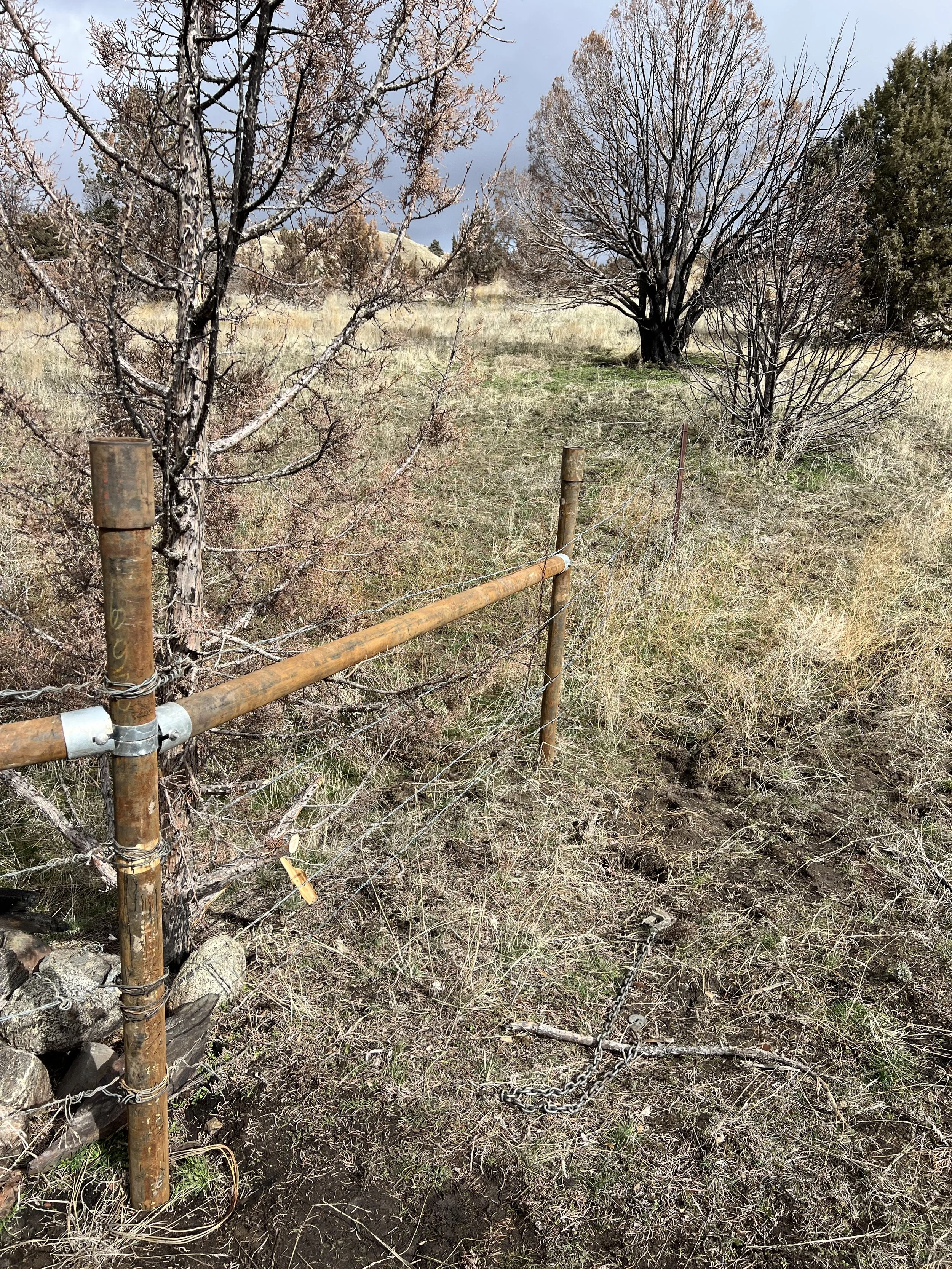 A barbed wire fence in a dry grassy field with leafless trees and a cloudy sky in the background.