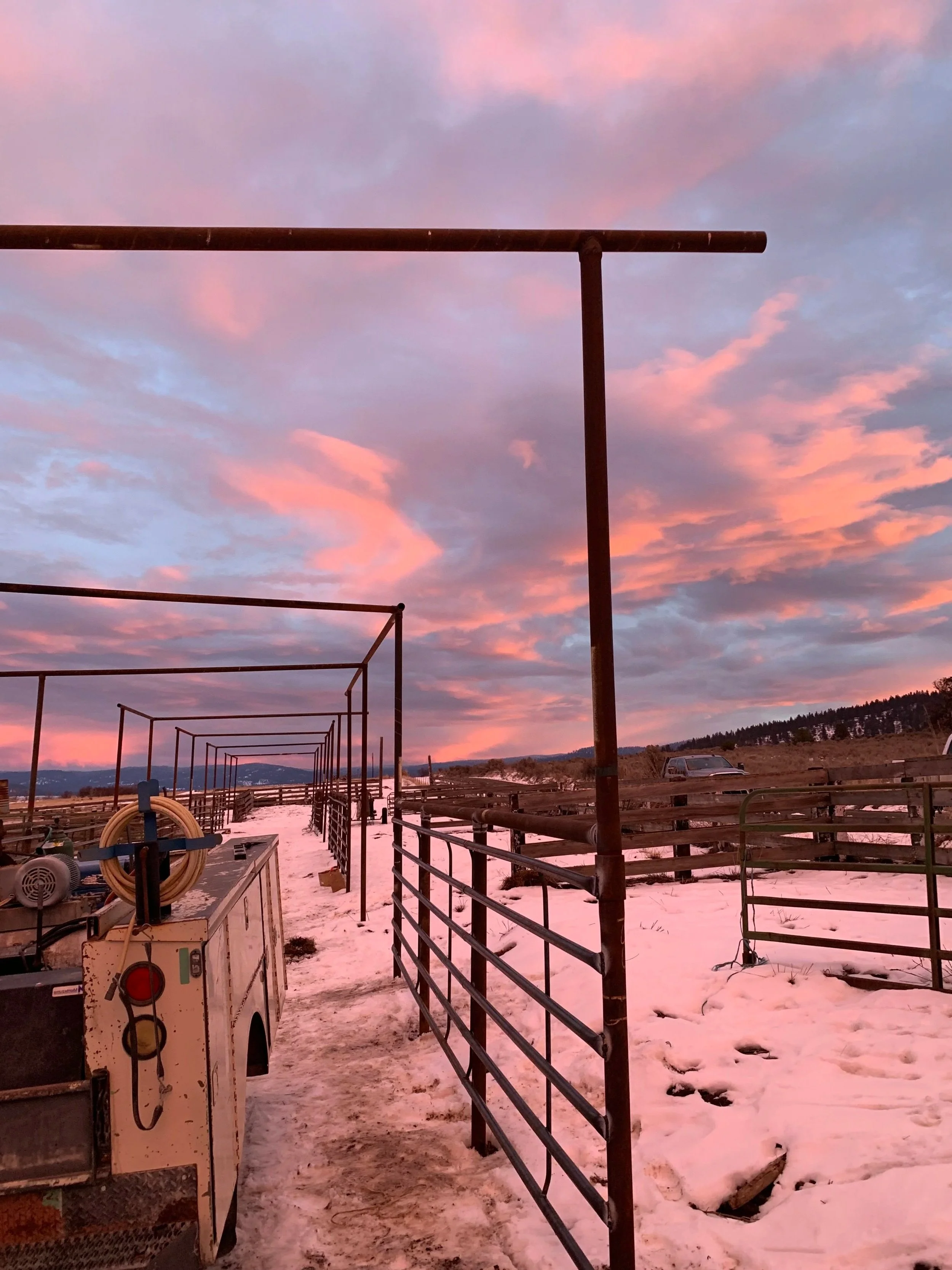 Sunset sky with pink and purple clouds over a rural farm with snow-covered ground, metal fencing, and agricultural equipment.
