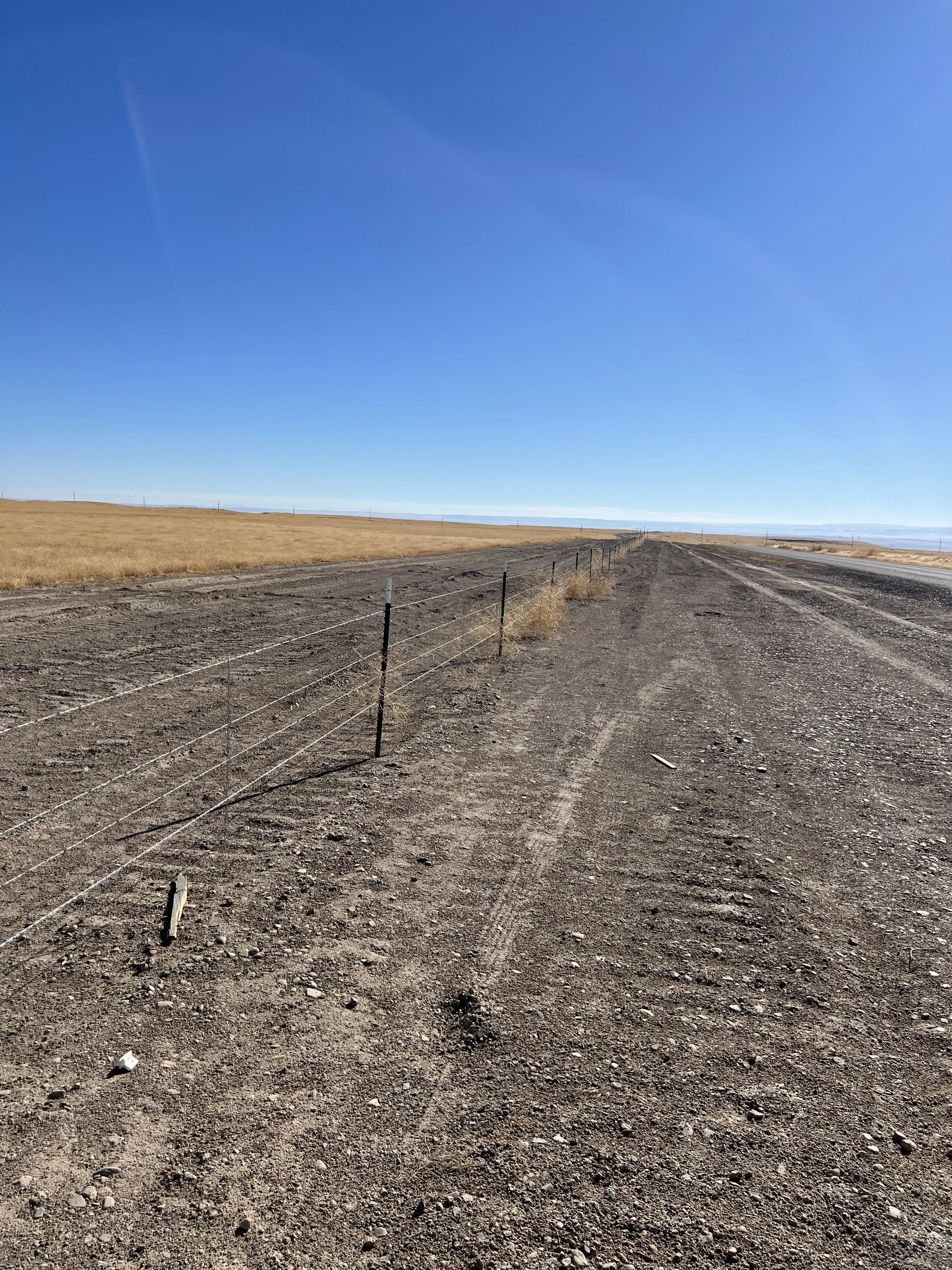 A dirt road with tire tracks, bordered by a wire fence on the left, stretches into the distance under a clear blue sky. Dry grass and open plains are visible on either side.
