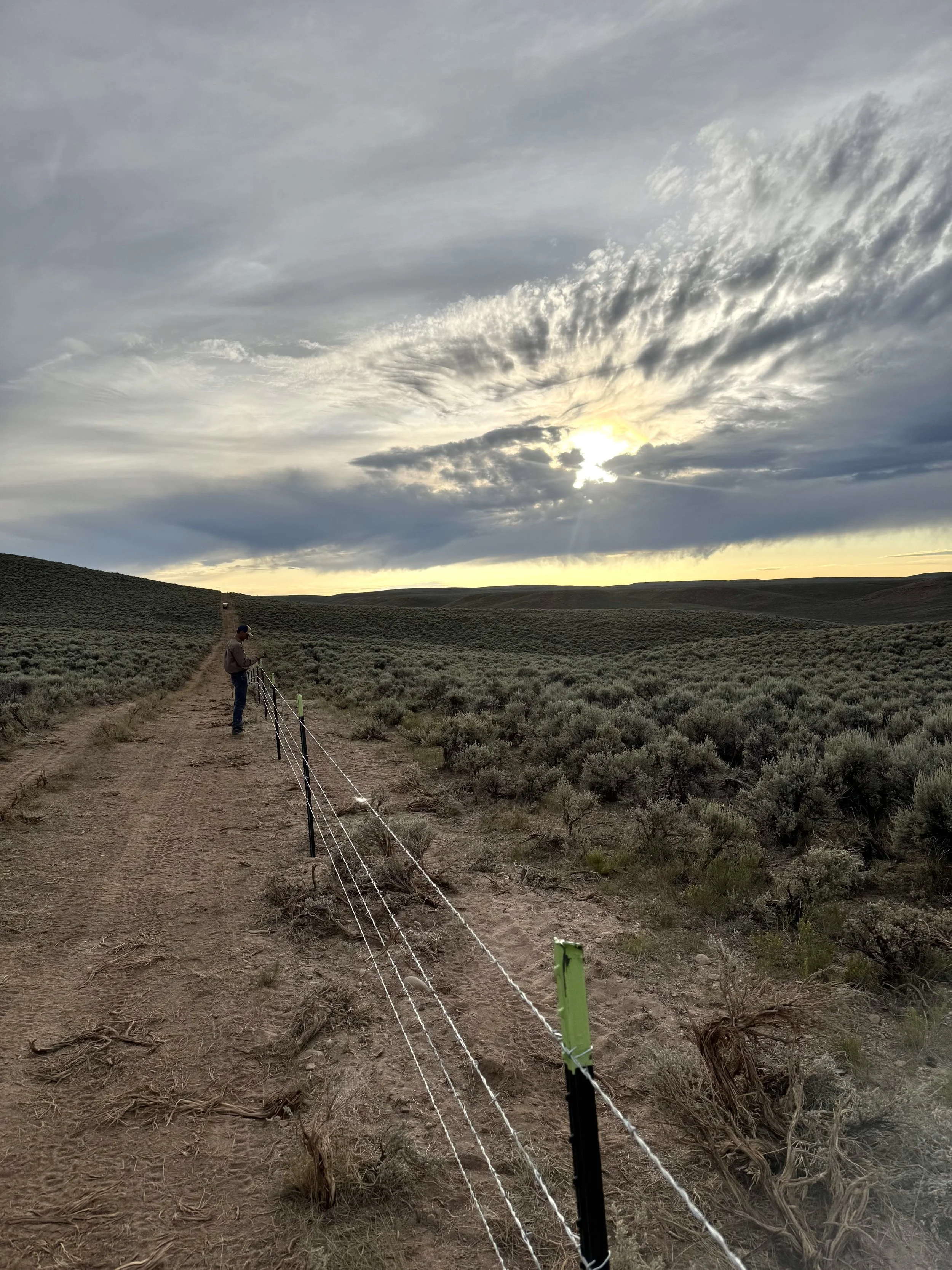 A person standing on a dirt trail in a dry, shrub-covered landscape under a mostly cloudy sky with the sun partially obscured by clouds
