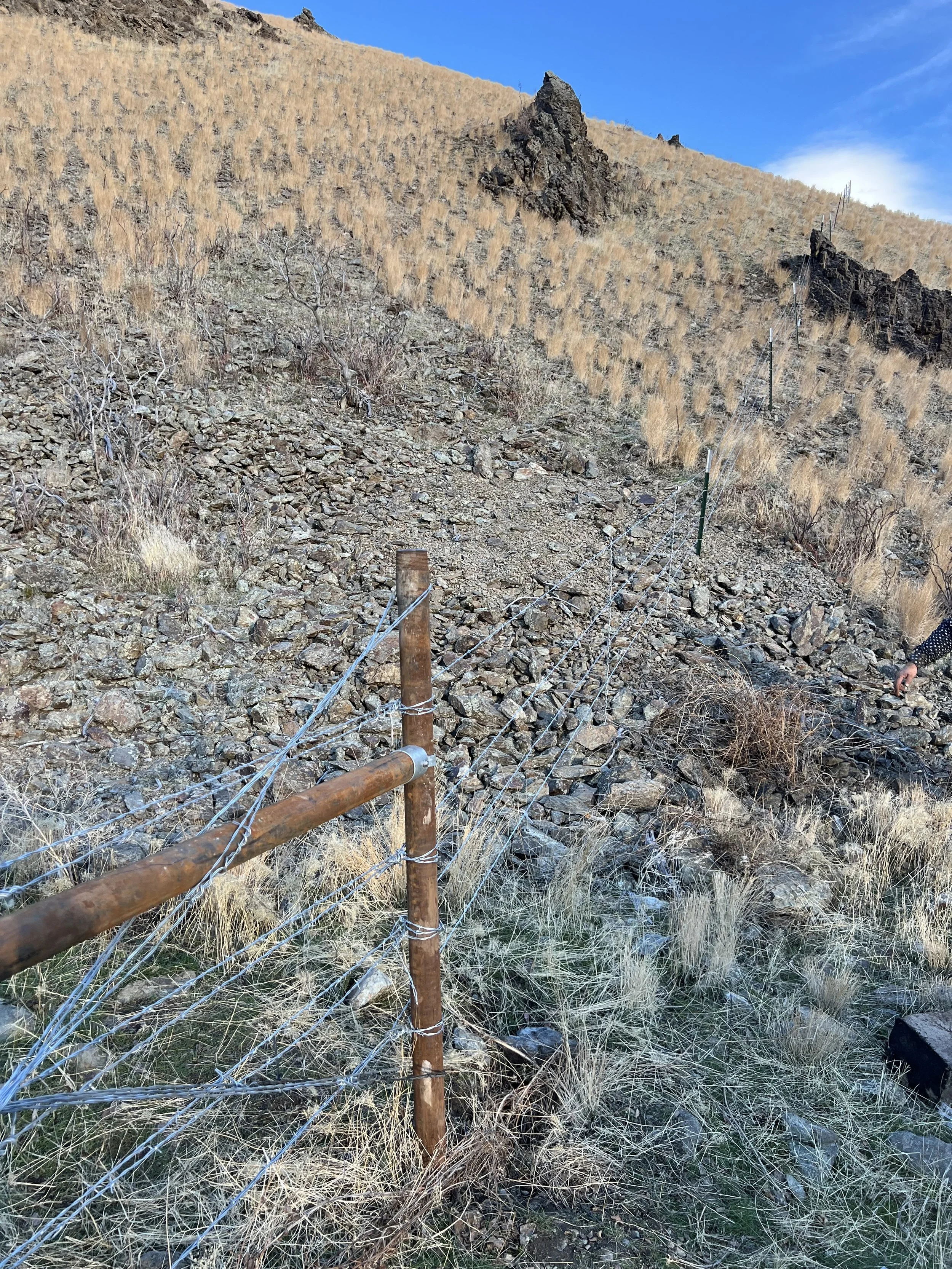 A chain-link fence with wooden posts runs along a rocky hillside with sparse dry grass and bushes. The hillside is covered in yellowish grasses and has dark rocks protruding near the top. The sky is clear and blue.