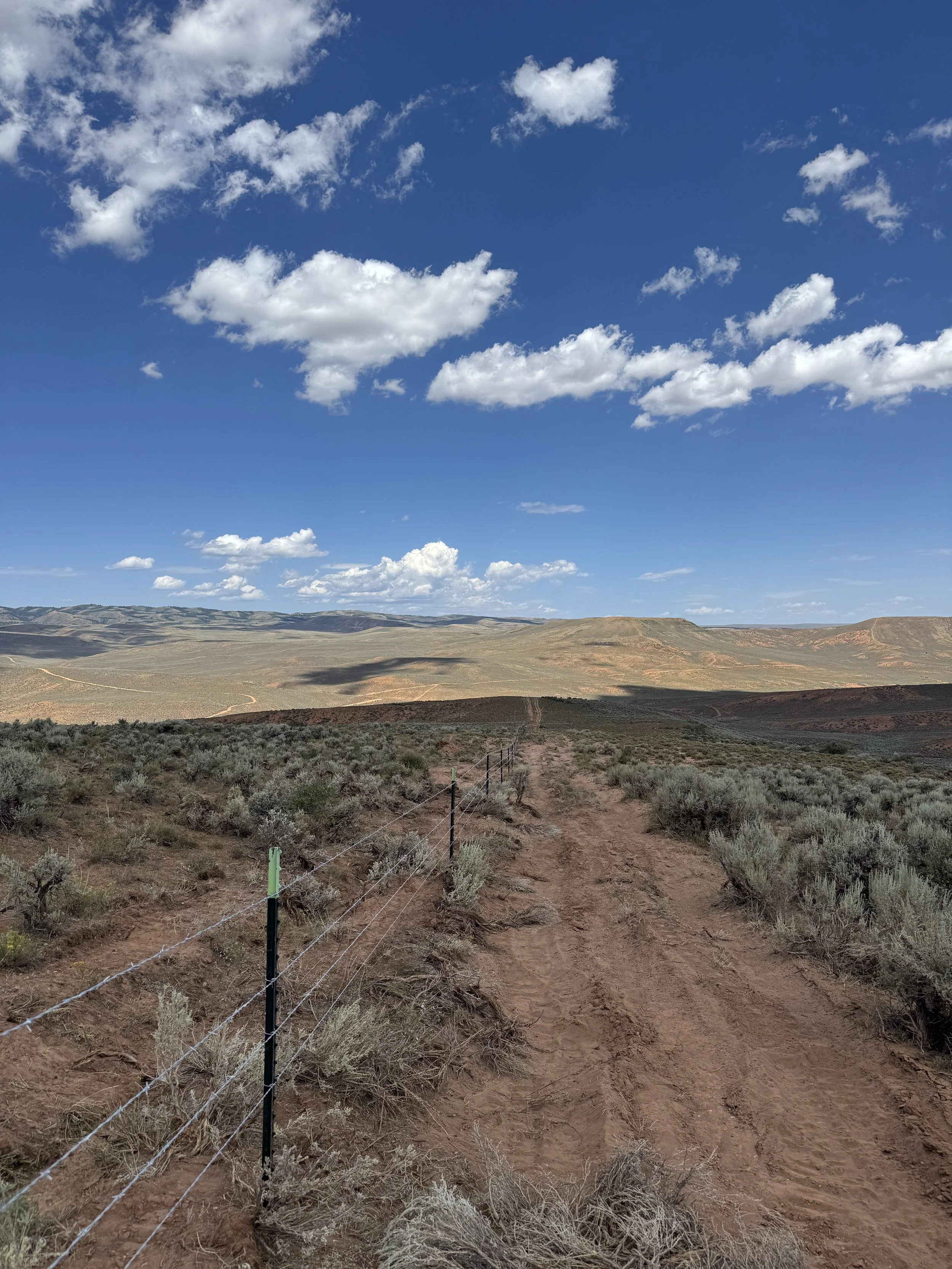 A dirt path running through a dry, shrub-covered landscape with power lines on the left in the foreground, under a bright blue sky with scattered white clouds.