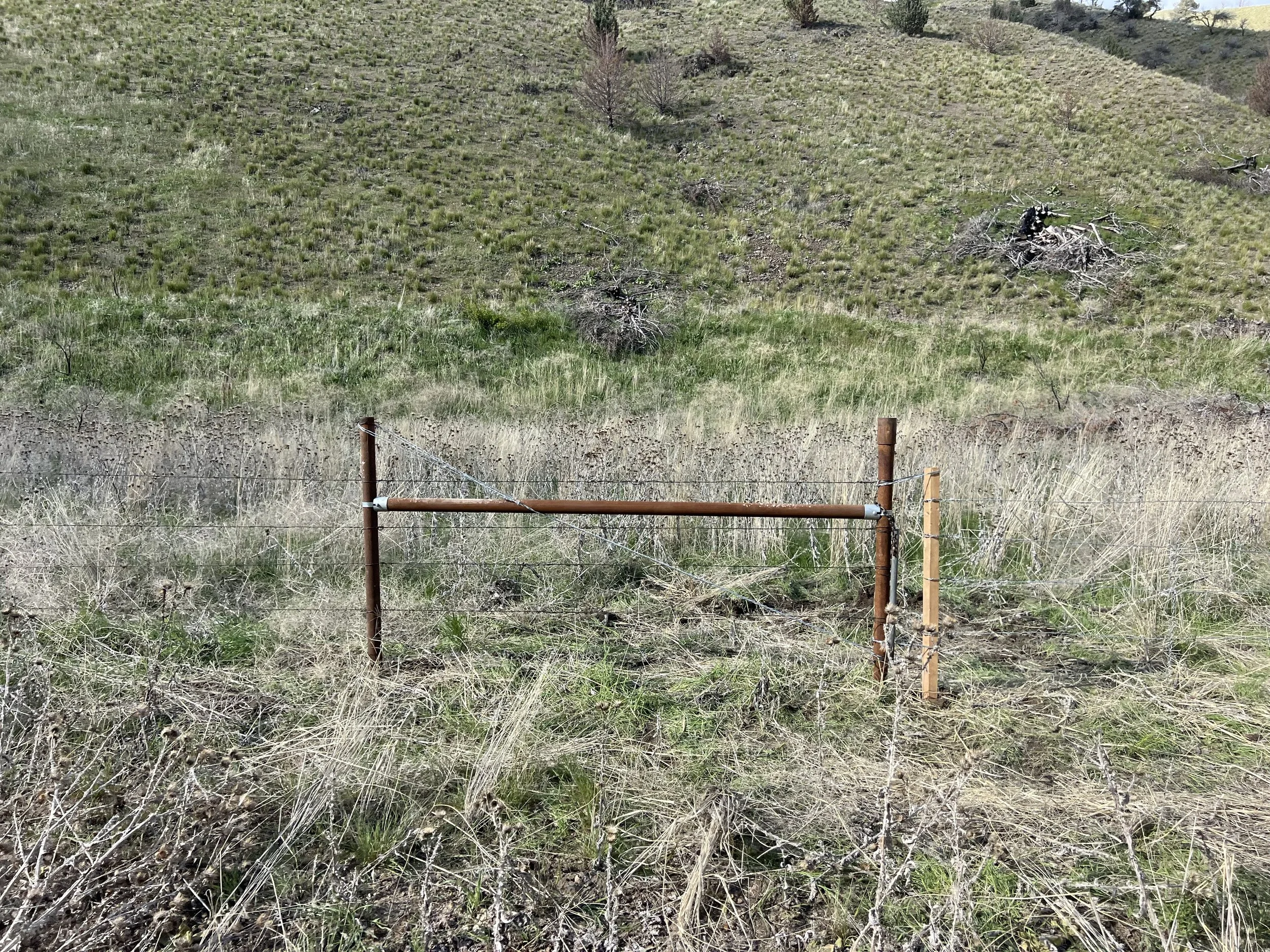 A barbed wire fence at the bottom of a grassy hill with sparse trees and shrubs, and a patch of green grass at the bottom.